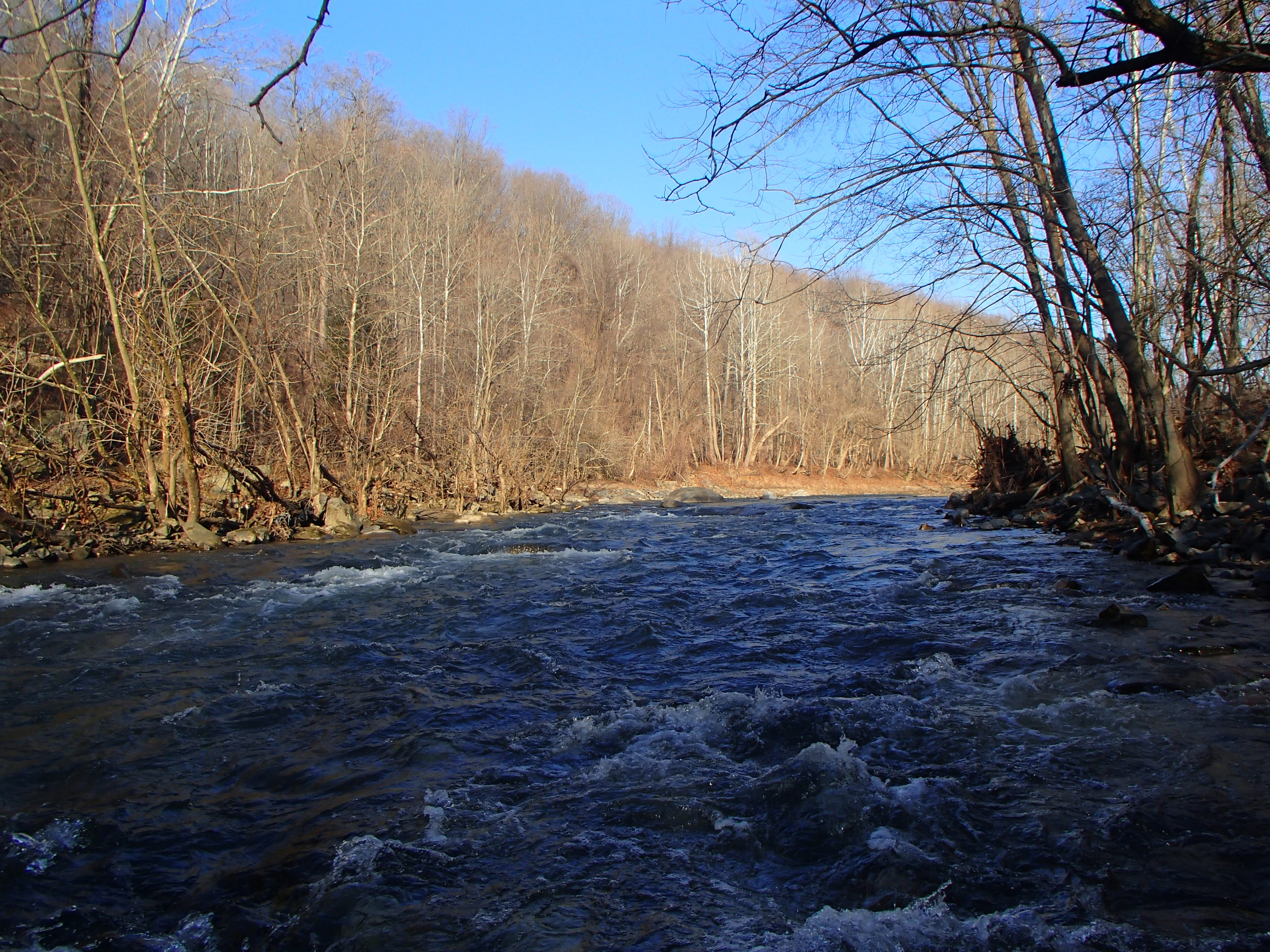 Field photo showing stream conditions at site PATL-502-X-2015_at-P-mark-looking-upstream