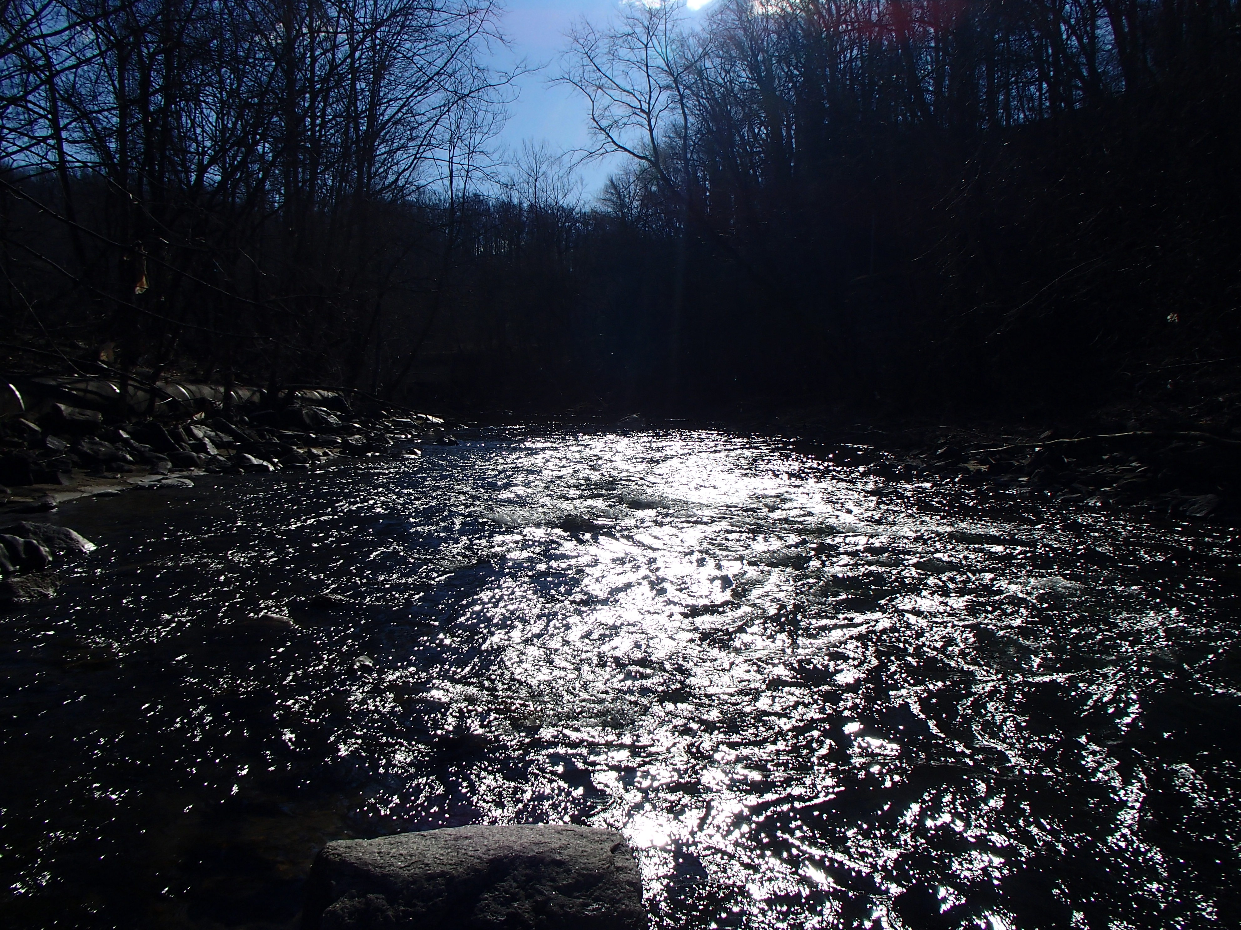 Field photo showing stream conditions at site PATL-502-X-2017-MidpointLookingDownstream