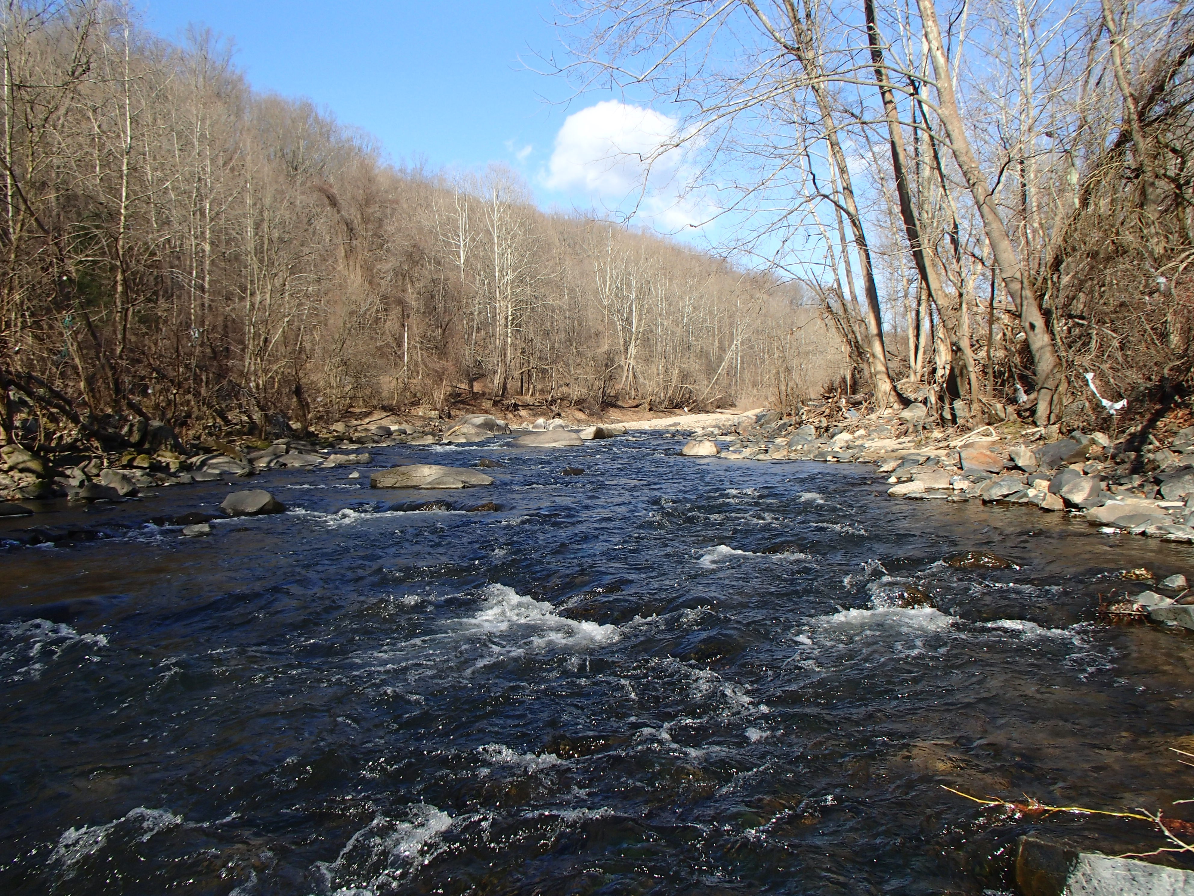 Field photo showing stream conditions at site PATL-502-X-2017-MidpointLookingUpstream