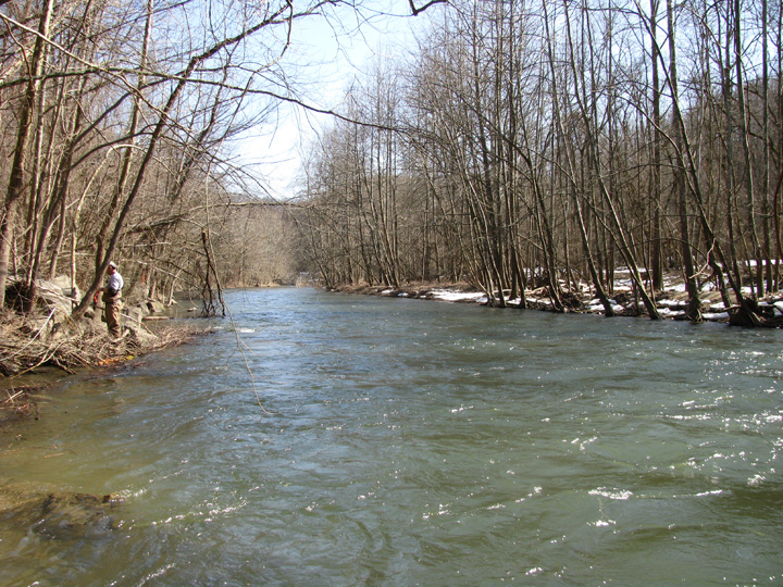 Field photo showing stream conditions at site PATL-504-X-2010-1