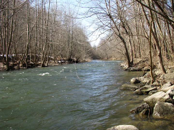 Field photo showing stream conditions at site PATL-504-X-2010-2