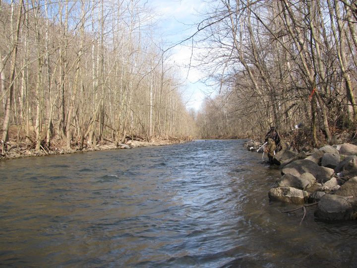 Field photo showing stream conditions at site PATL-504-X-2011-1