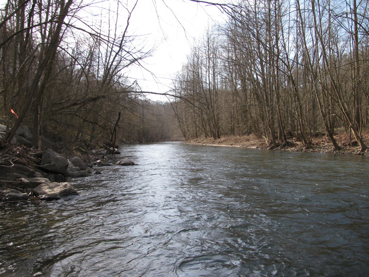 Field photo showing stream conditions at site PATL-504-X-2011-2