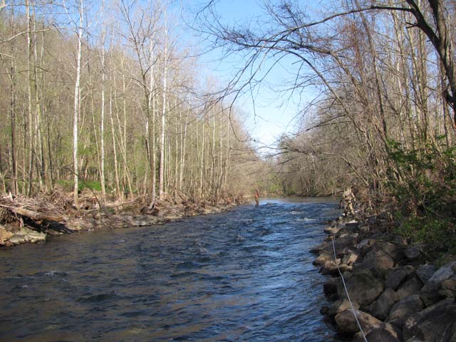 Field photo showing stream conditions at site PATL-504-X-2012-1