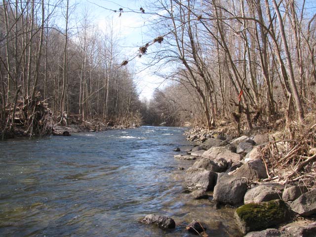 Field photo showing stream conditions at site PATL-504-X-2013-1