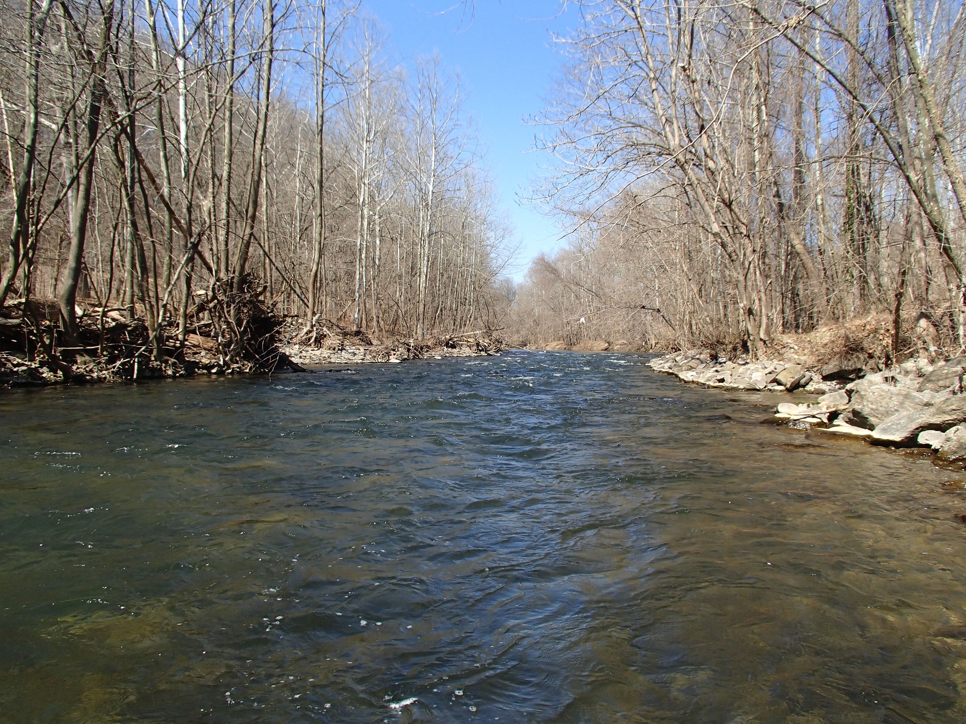 Field photo showing stream conditions at site PATL-504-X-2014-1