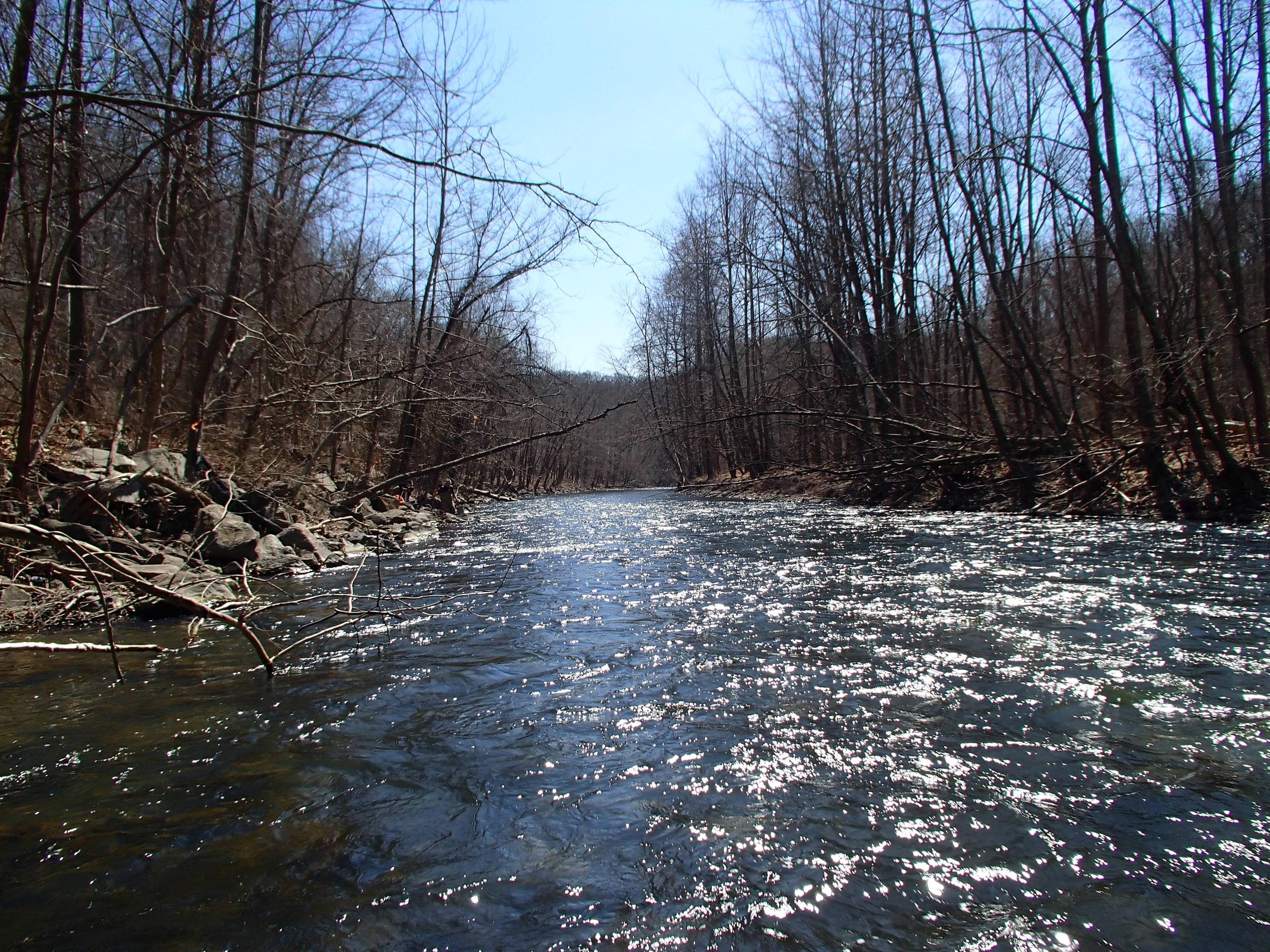 Field photo showing stream conditions at site PATL-504-X-2014-2