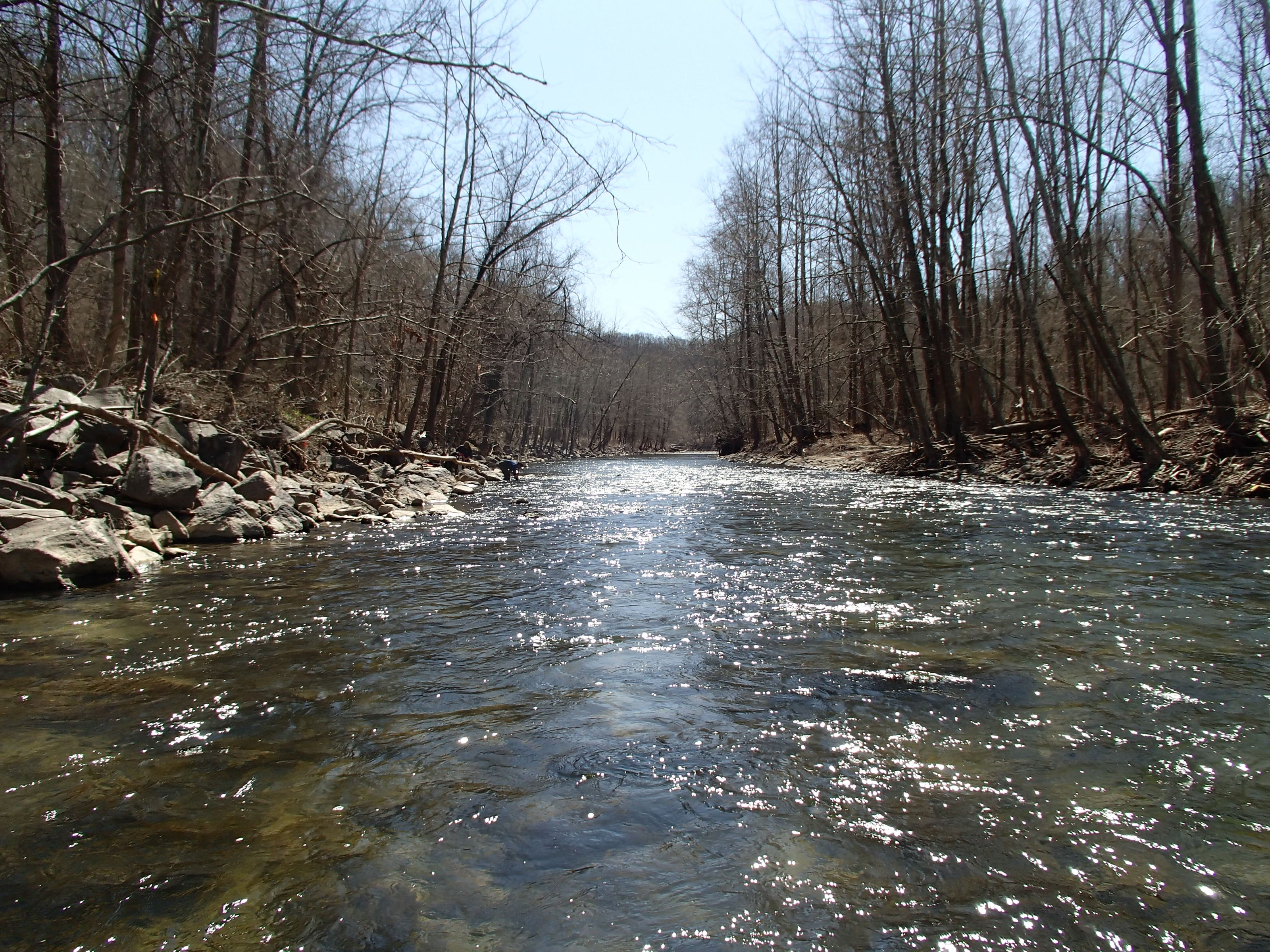 Field photo showing stream conditions at site PATL-504-X-2015_Midpoint-looking-downstream