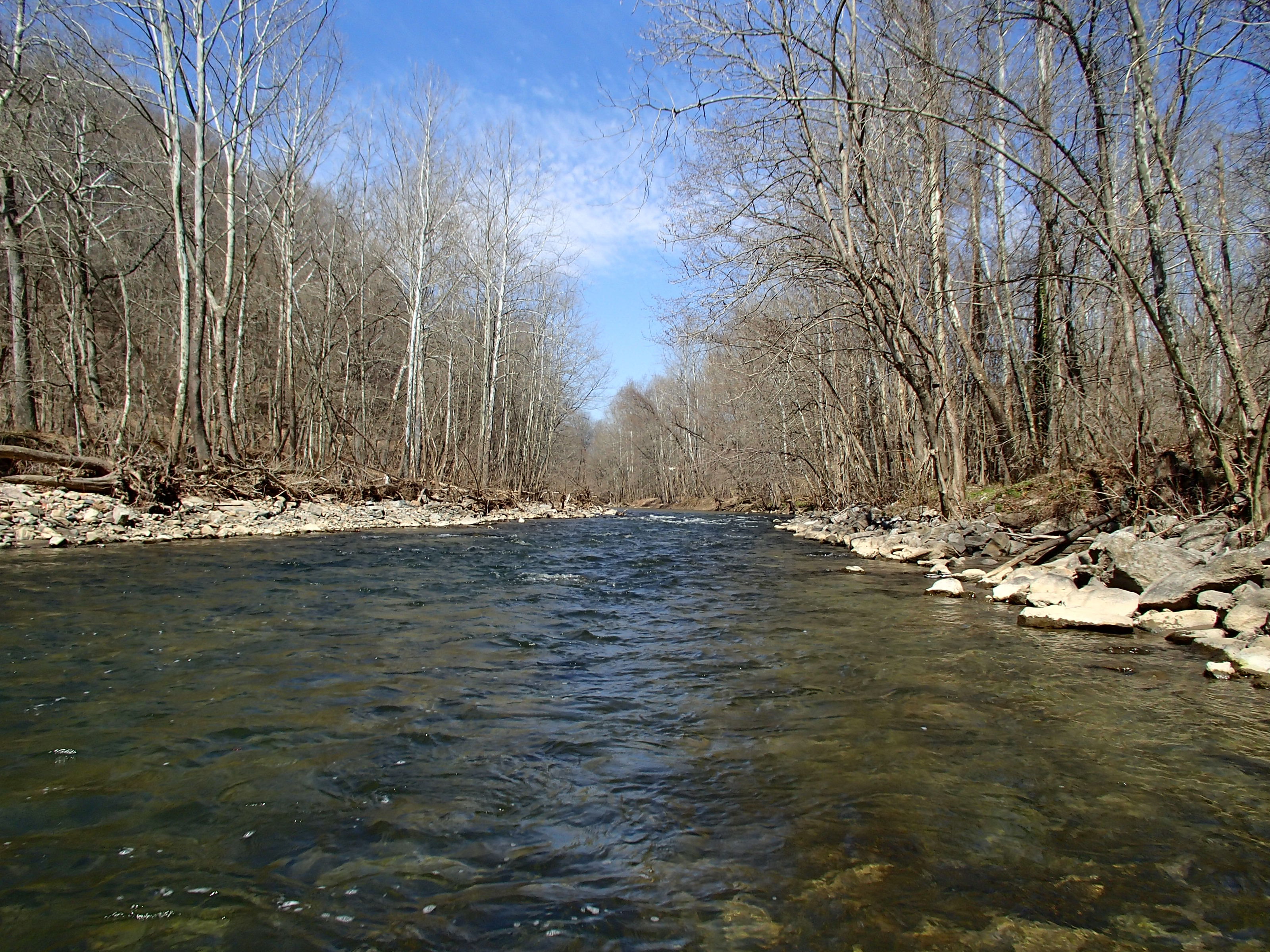 Field photo showing stream conditions at site PATL-504-X-2015_Midpoint-looking-upstream