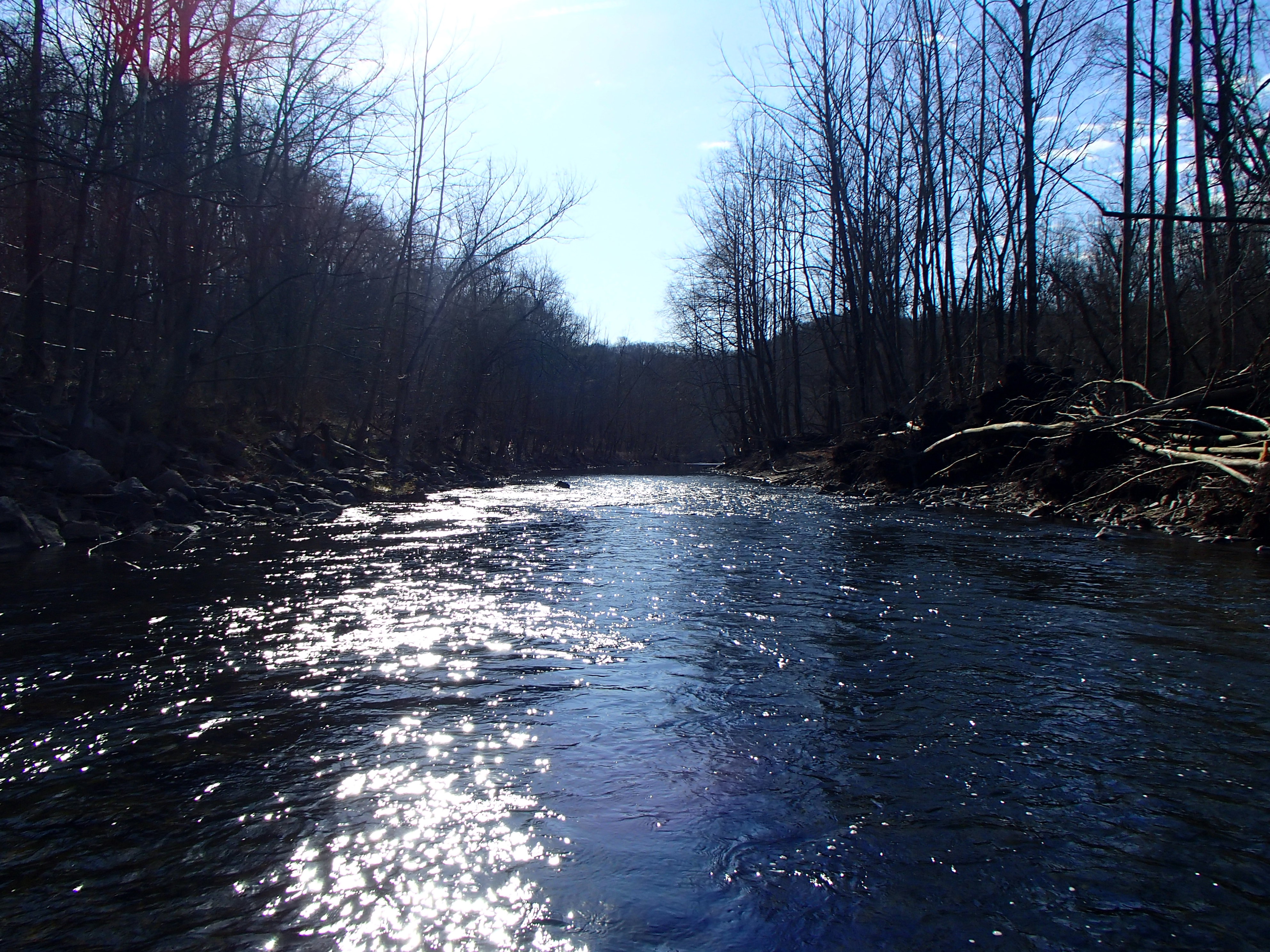 Field photo showing stream conditions at site PATL-504-X-2017-MidpointLookingDownstream