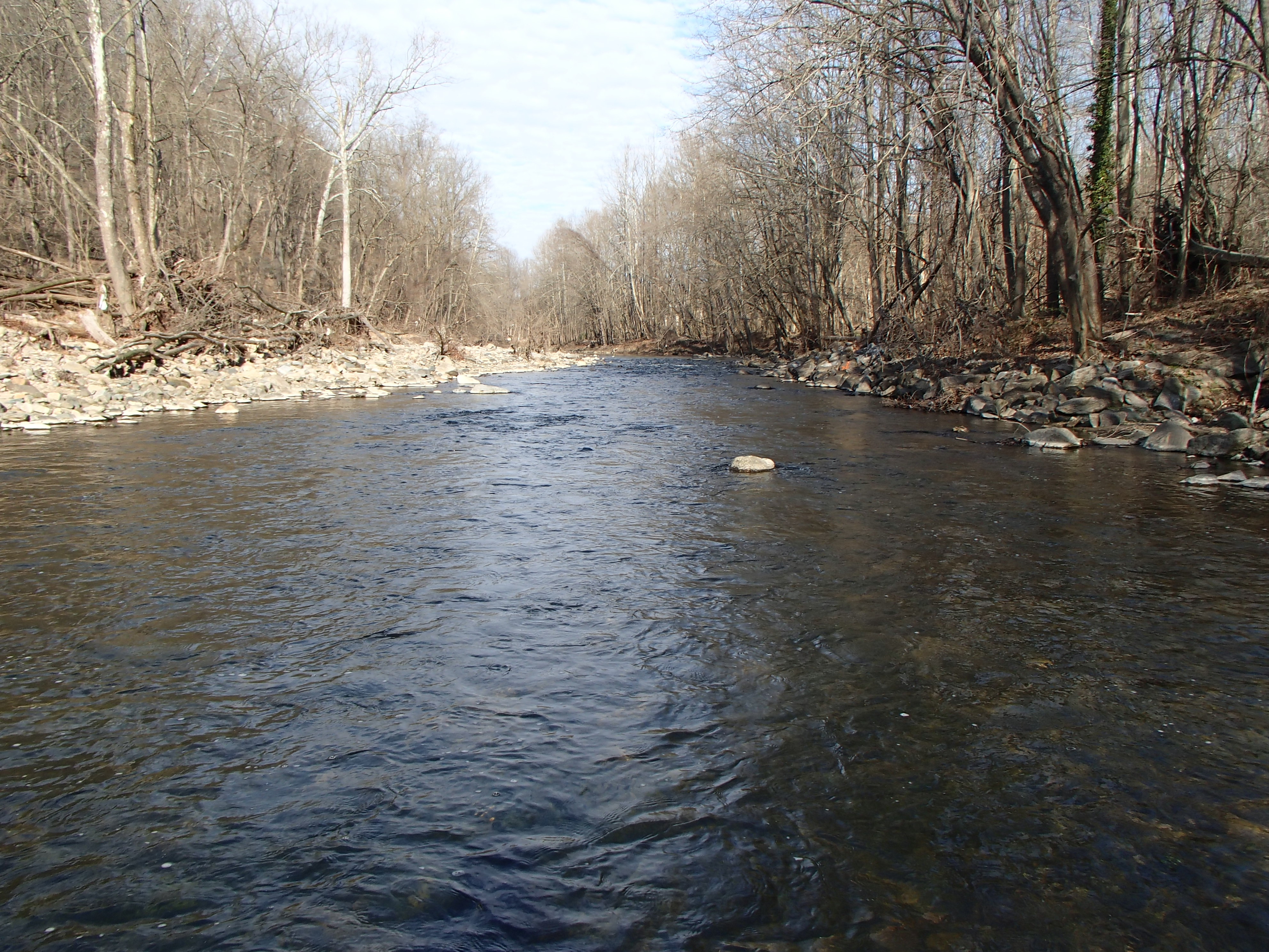 Field photo showing stream conditions at site PATL-504-X-2017-MidpointLookingUpstream
