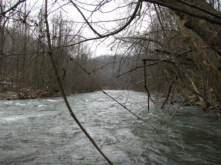Field photo showing stream conditions at site PATL-507-X-2010-1