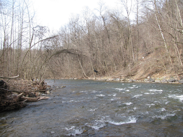 Field photo showing stream conditions at site PATL-507-X-2011-2