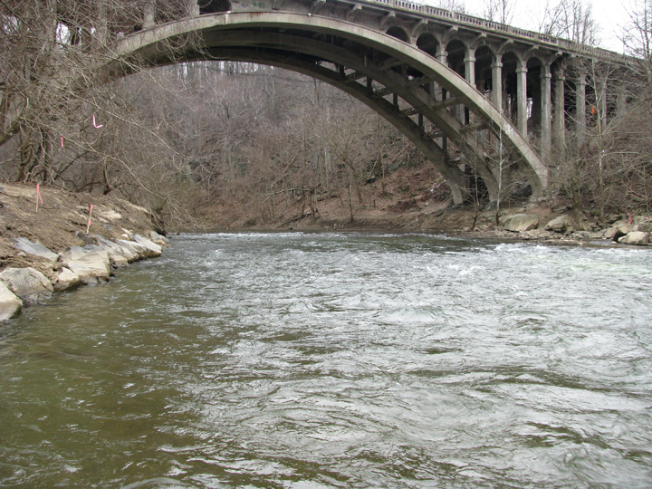 Field photo showing stream conditions at site PATL-508-X-2010-2