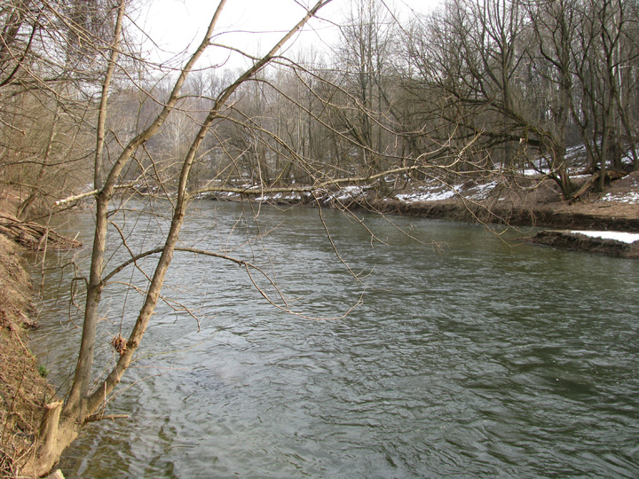 Field photo showing stream conditions at site PATL-510-X-2010-1