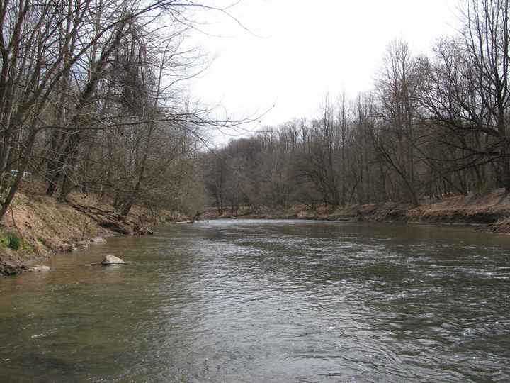 Field photo showing stream conditions at site PATL-510-X-2011-2