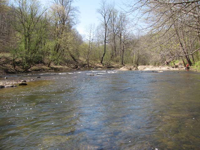 Field photo showing stream conditions at site PATL-510-X-2012-1