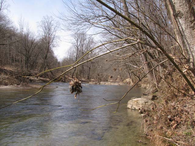 Field photo showing stream conditions at site PATL-510-X-2013-1