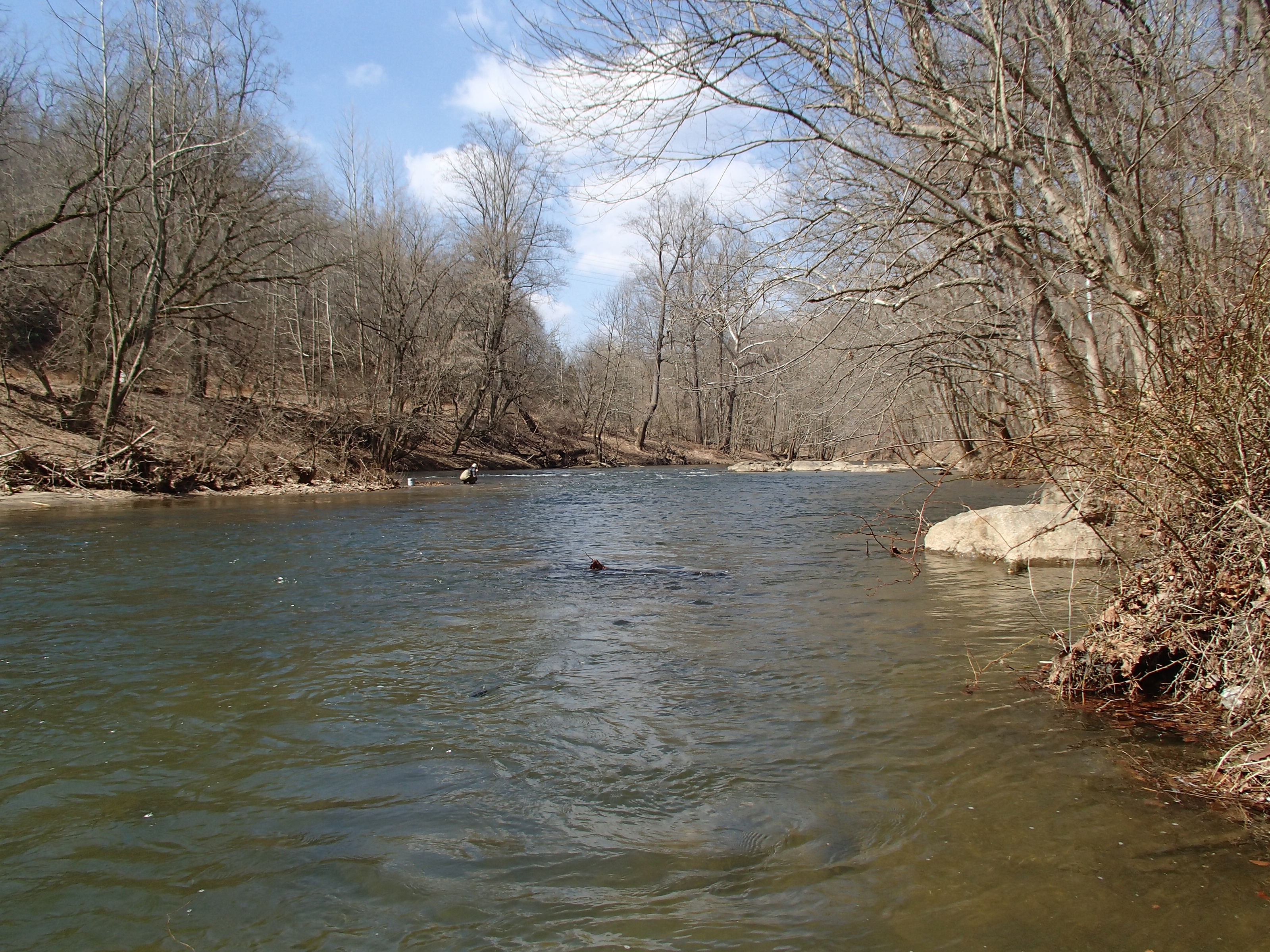Field photo showing stream conditions at site PATL-510-X-2014-1