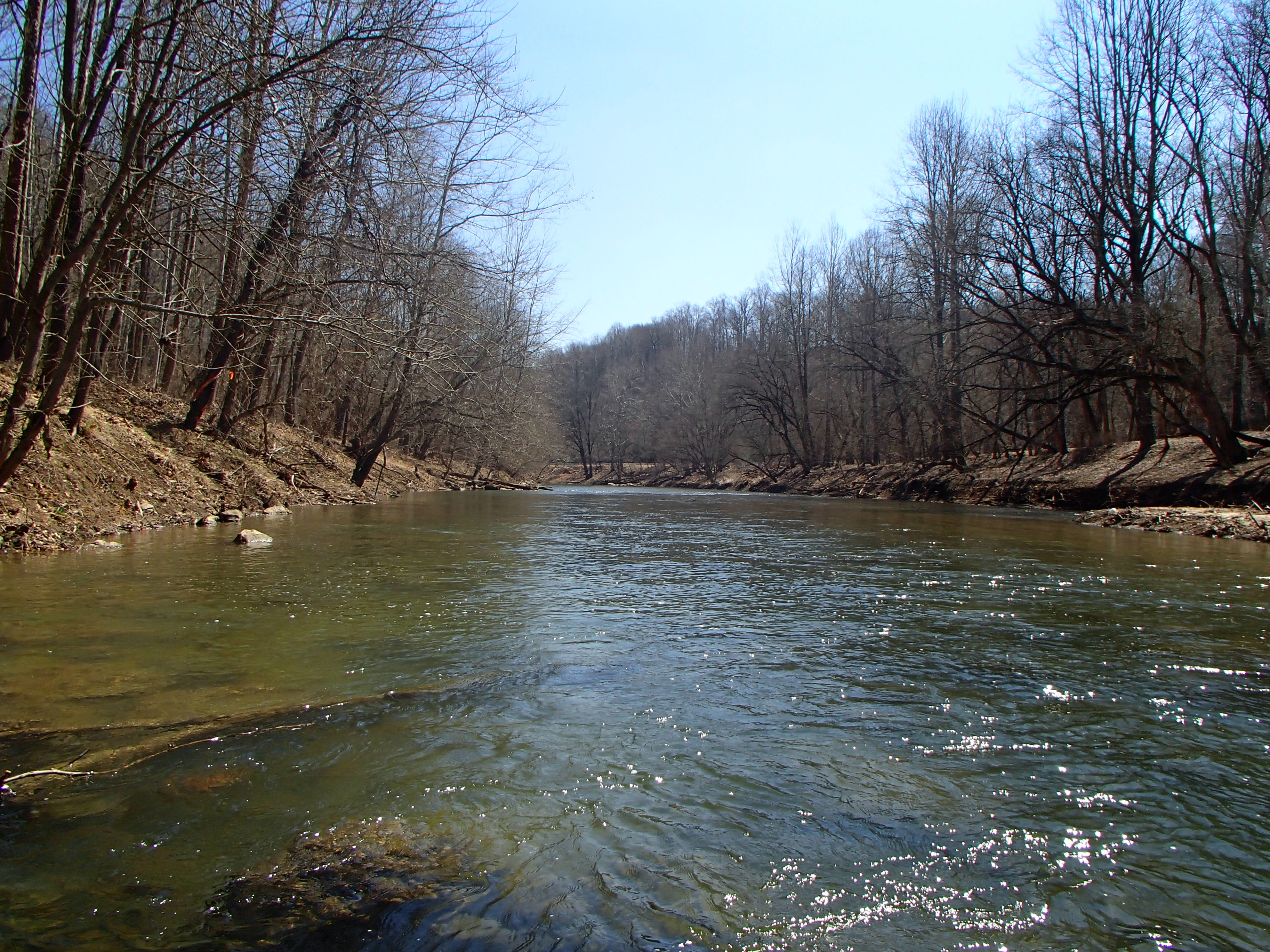 Field photo showing stream conditions at site PATL-510-X-2015_midpoint-looking-downstream