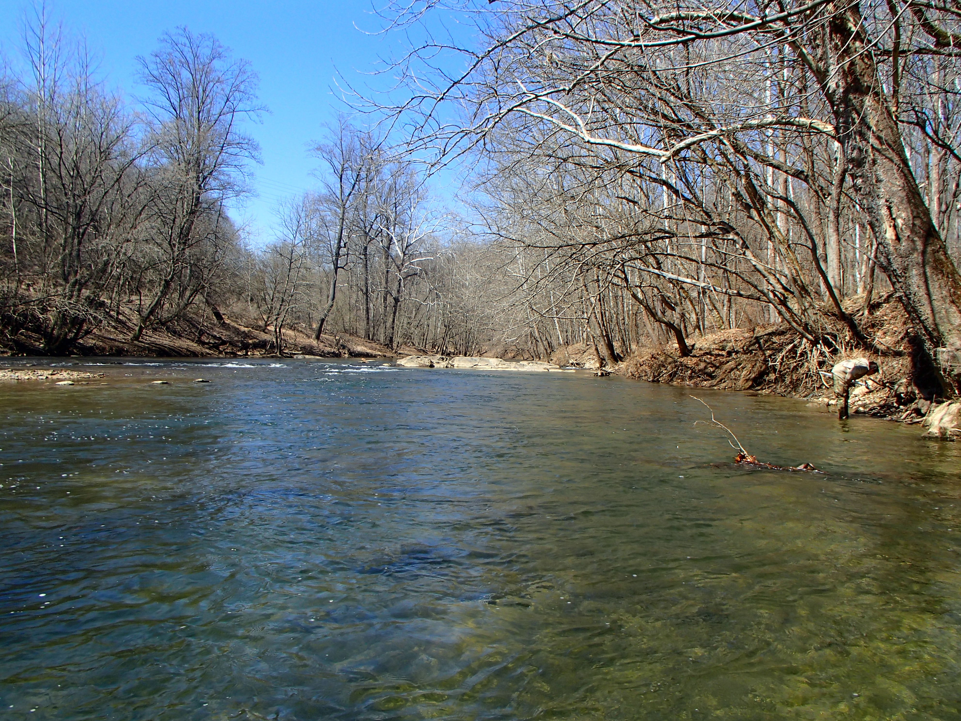 Field photo showing stream conditions at site PATL-510-X-2015_midpoint-looking-upstream