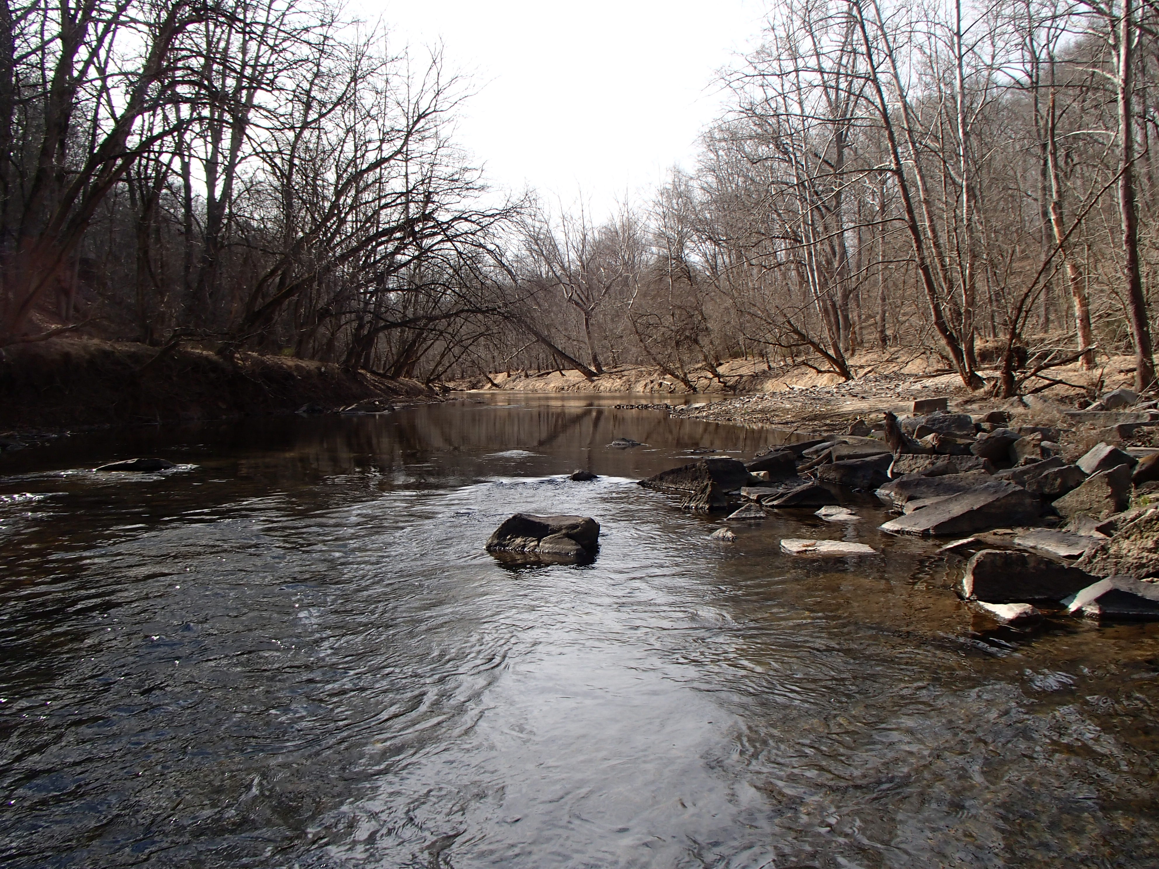 Field photo showing stream conditions at site PATL-511-X-2017-MidpointLookingUpstream