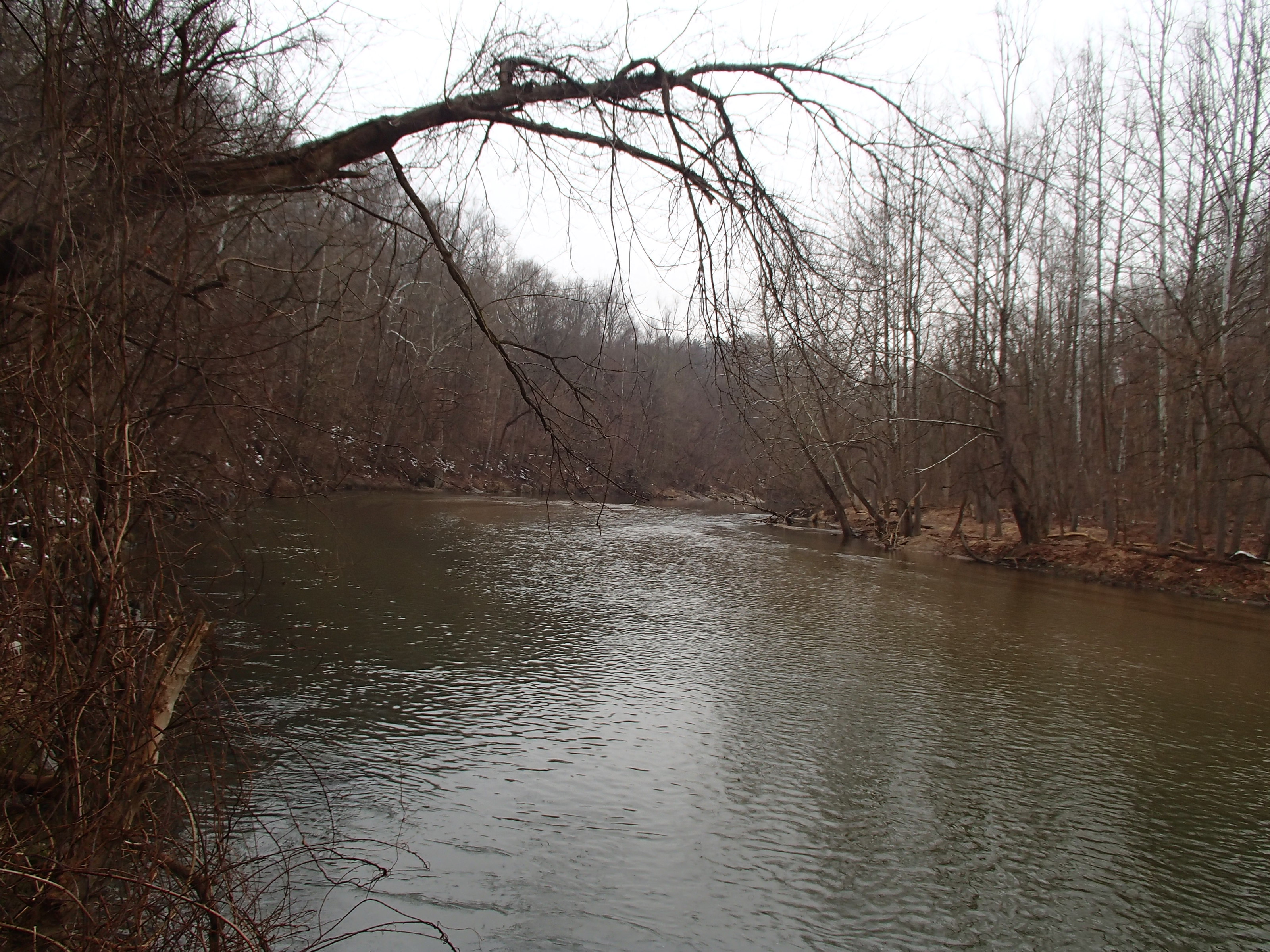 Field photo showing stream conditions at site PATL-515-X-2014-1