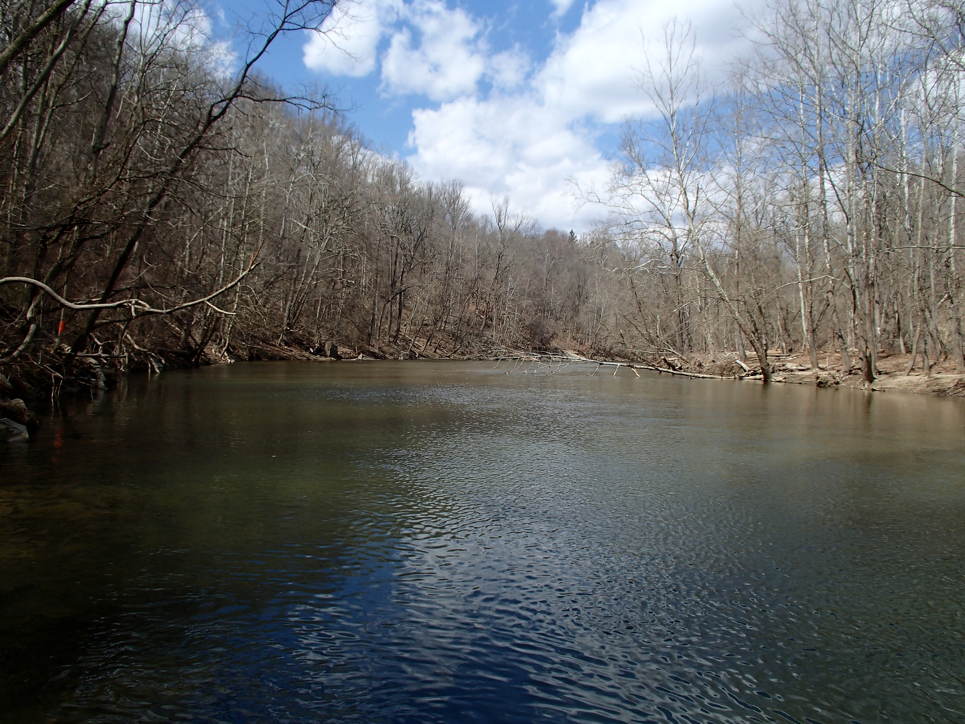Field photo showing stream conditions at site PATL-515-X-2015_midpoint-at-p-looking-upstream