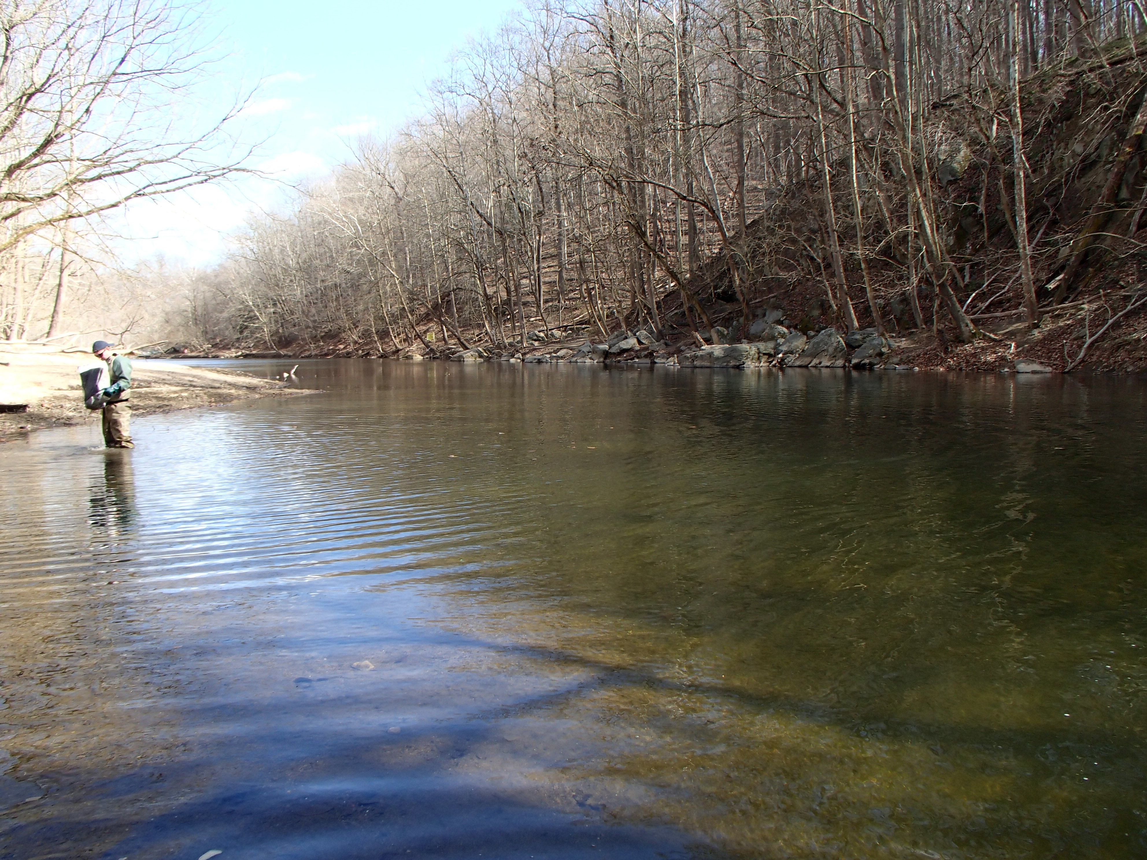 Field photo showing stream conditions at site PATL-515-X-2017-MidpointLookingDownstream
