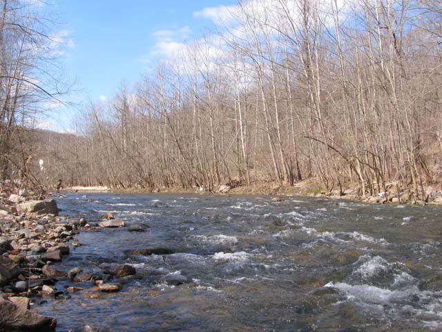 Field photo showing stream conditions at site PATL-516-X-2013-1