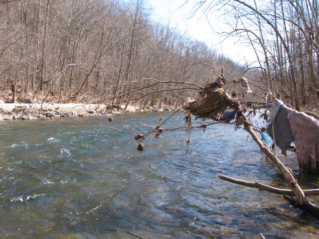 Field photo showing stream conditions at site PATL-516-X-2013-2
