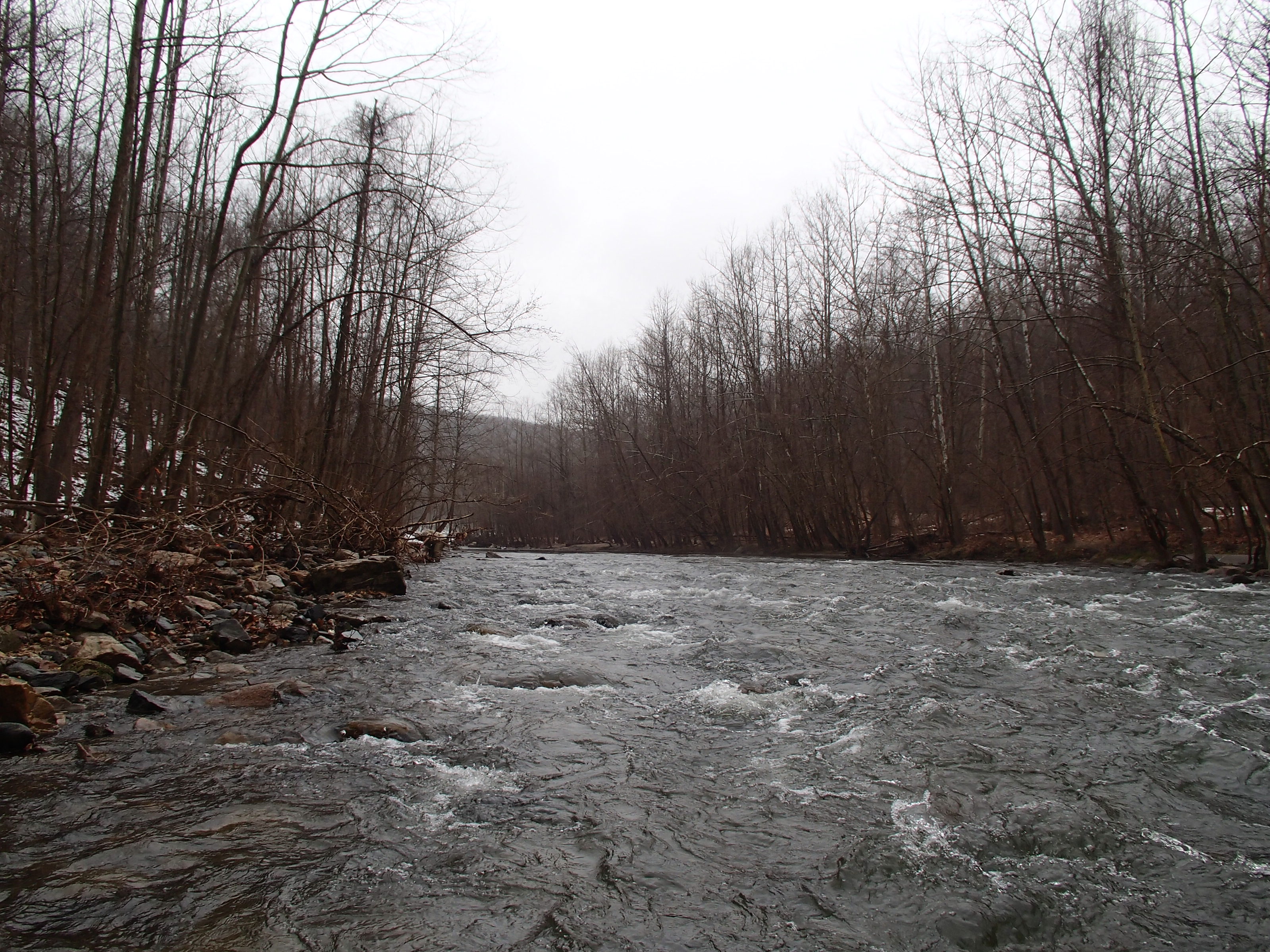 Field photo showing stream conditions at site PATL-516-X-2014-1