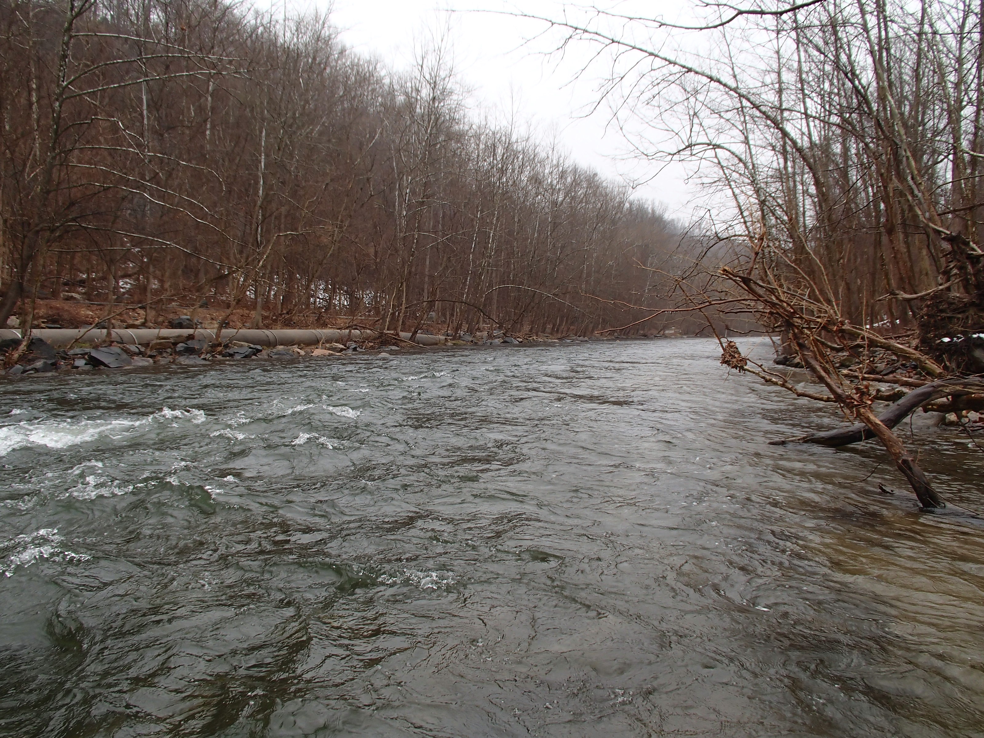 Field photo showing stream conditions at site PATL-516-X-2014-2