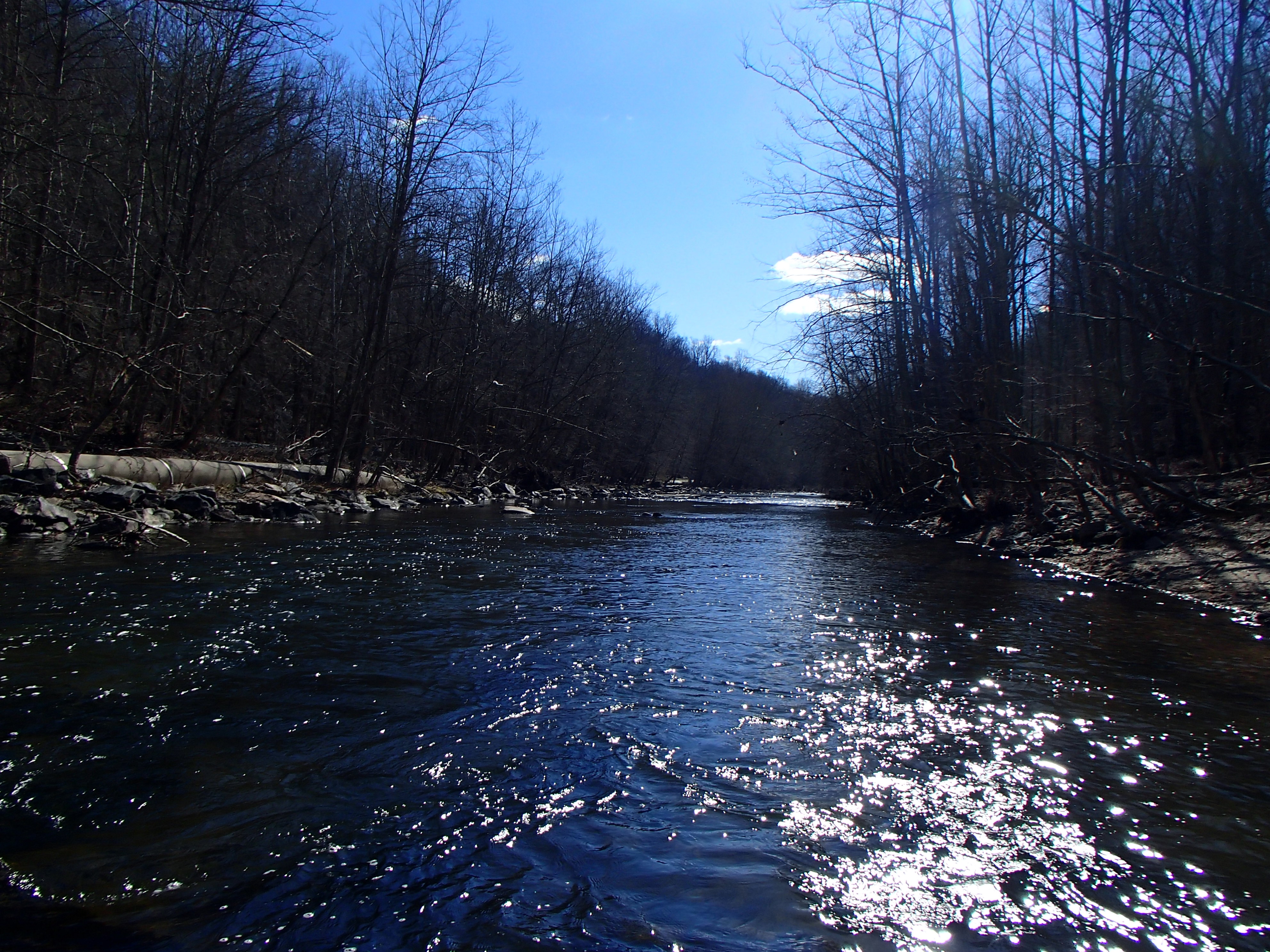 Field photo showing stream conditions at site PATL-516-X-2017-MidpointFacingDownstream
