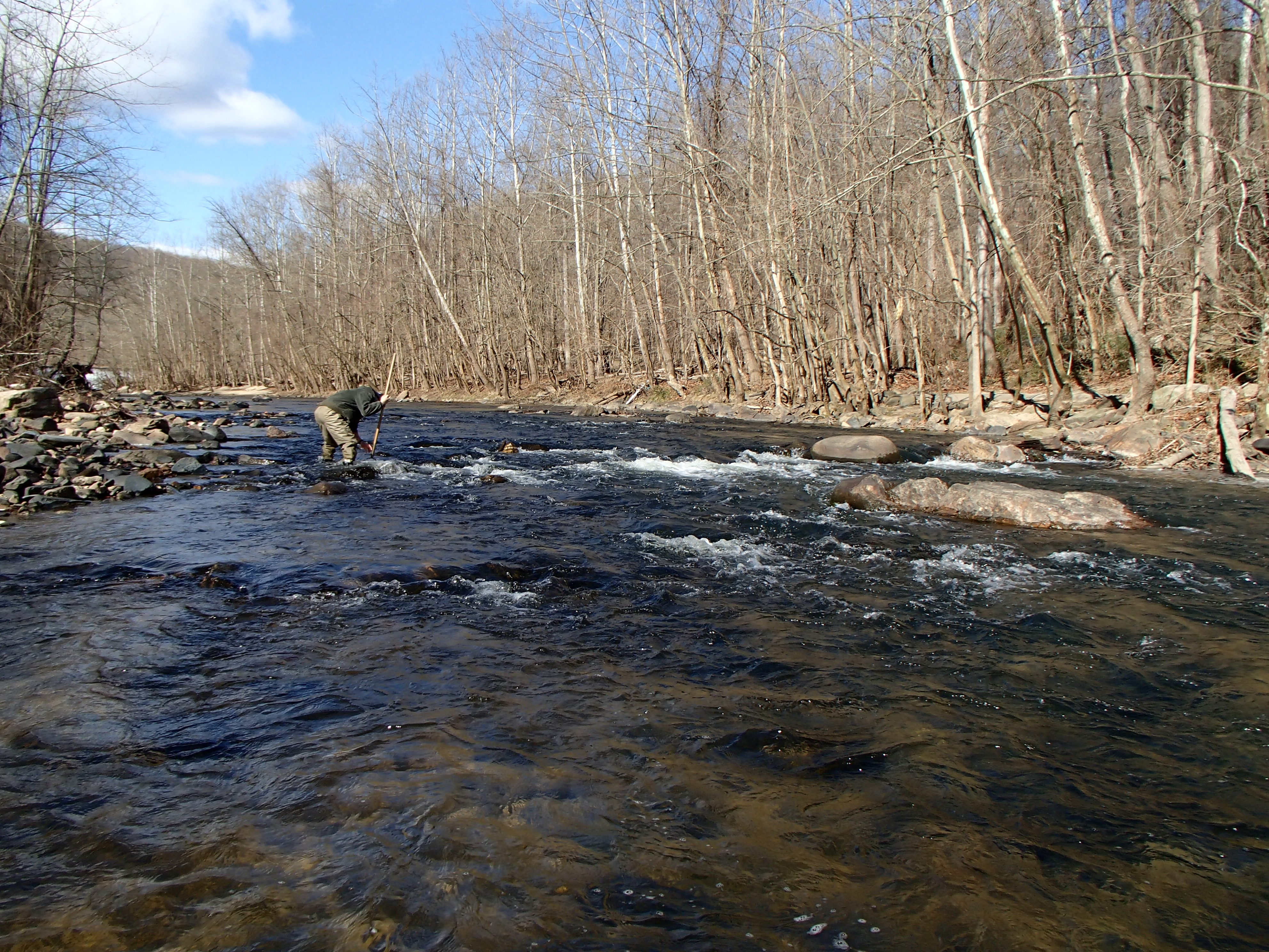 Field photo showing stream conditions at site PATL-516-X-2017-MidpointFacingUpstream