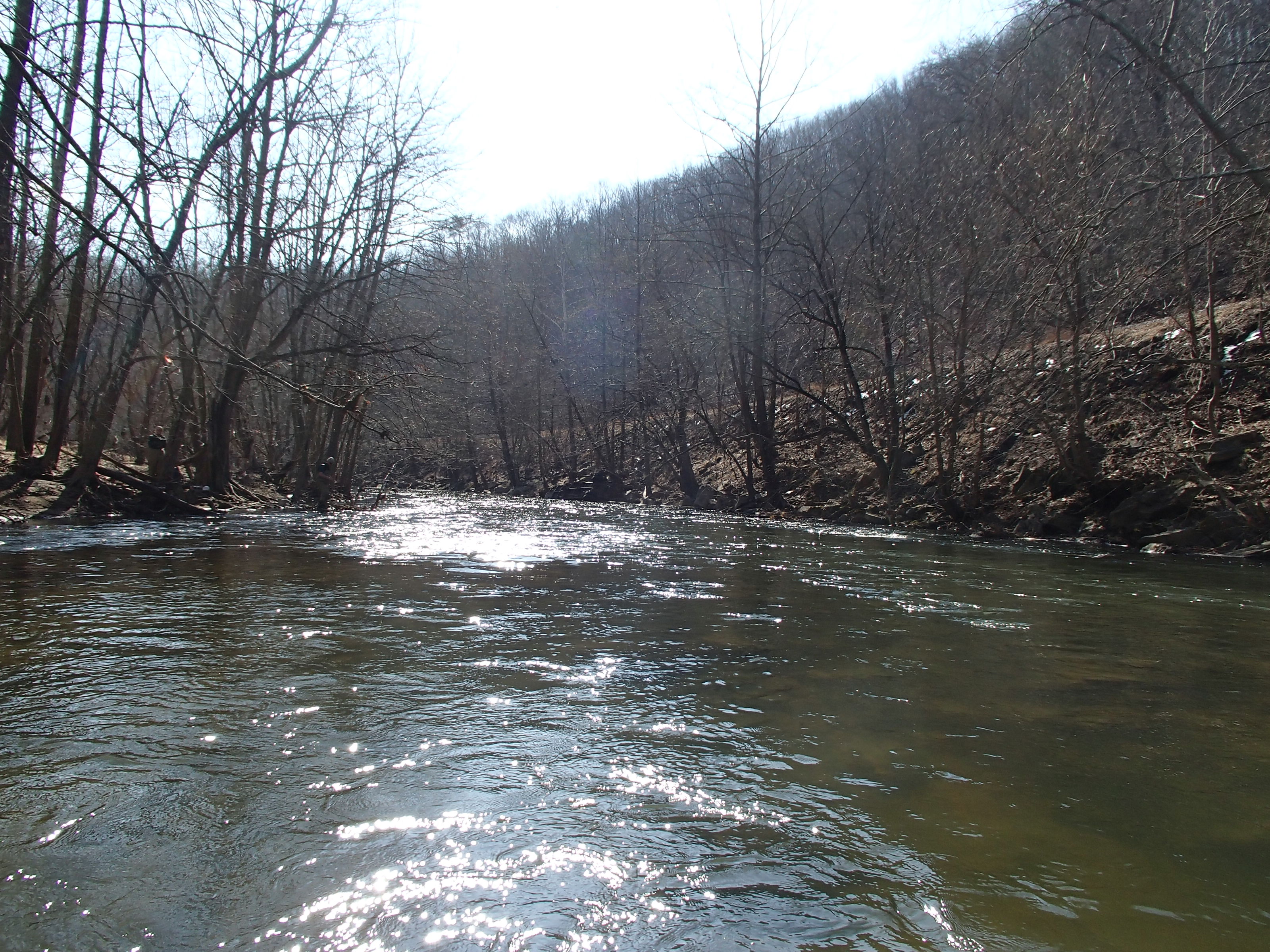 Field photo showing stream conditions at site PATL-517-X-2014-2