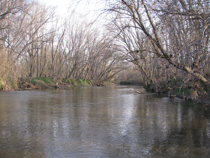 Field photo showing stream conditions at site PATL-B01-X-2011-1
