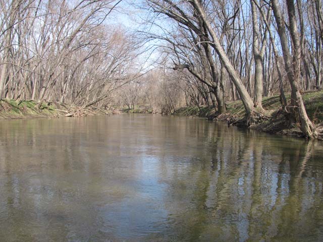 Field photo showing stream conditions at site PATL-B01-X-2012-1