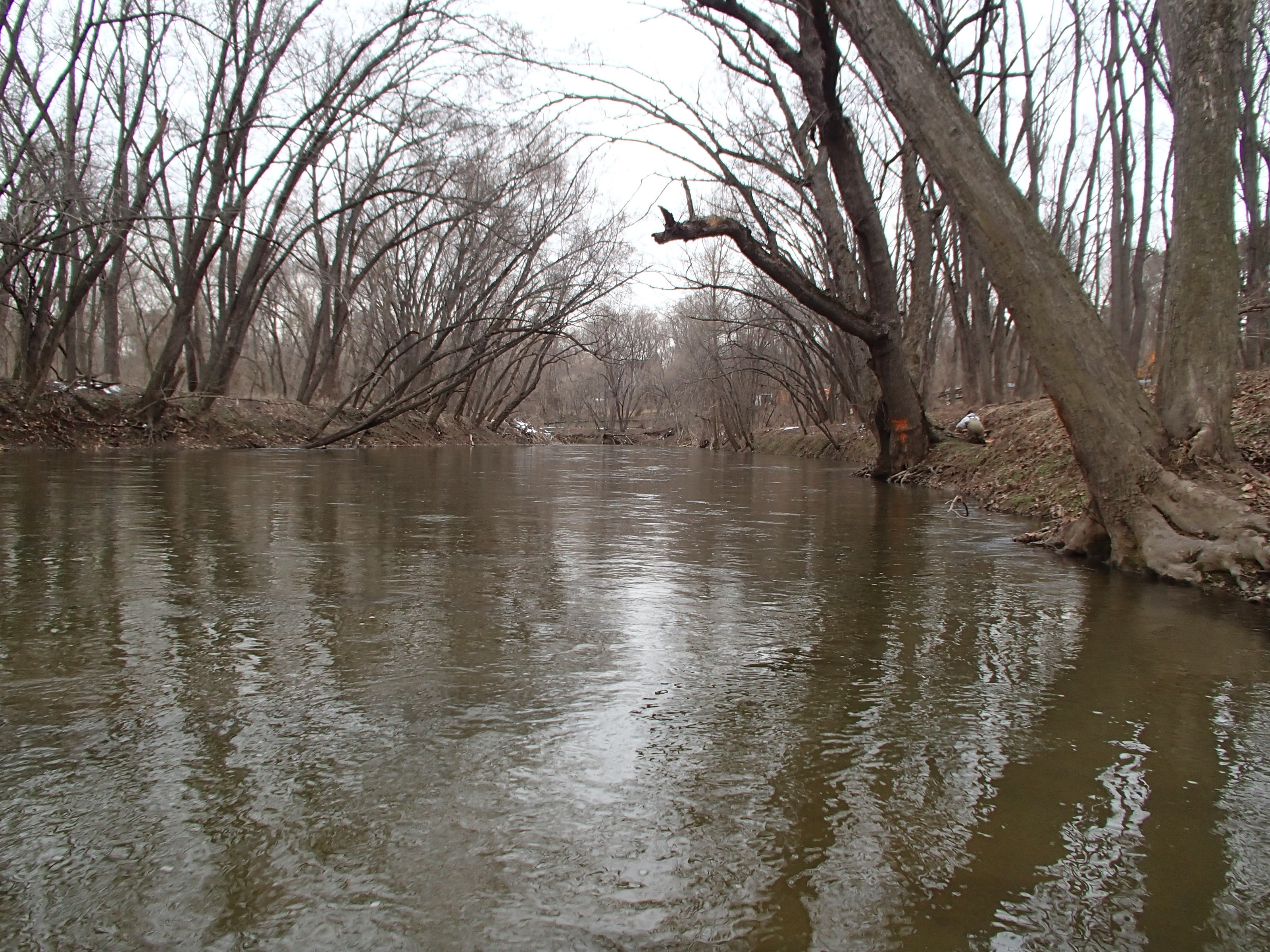 Field photo showing stream conditions at site PATL-B01-X-2014-1