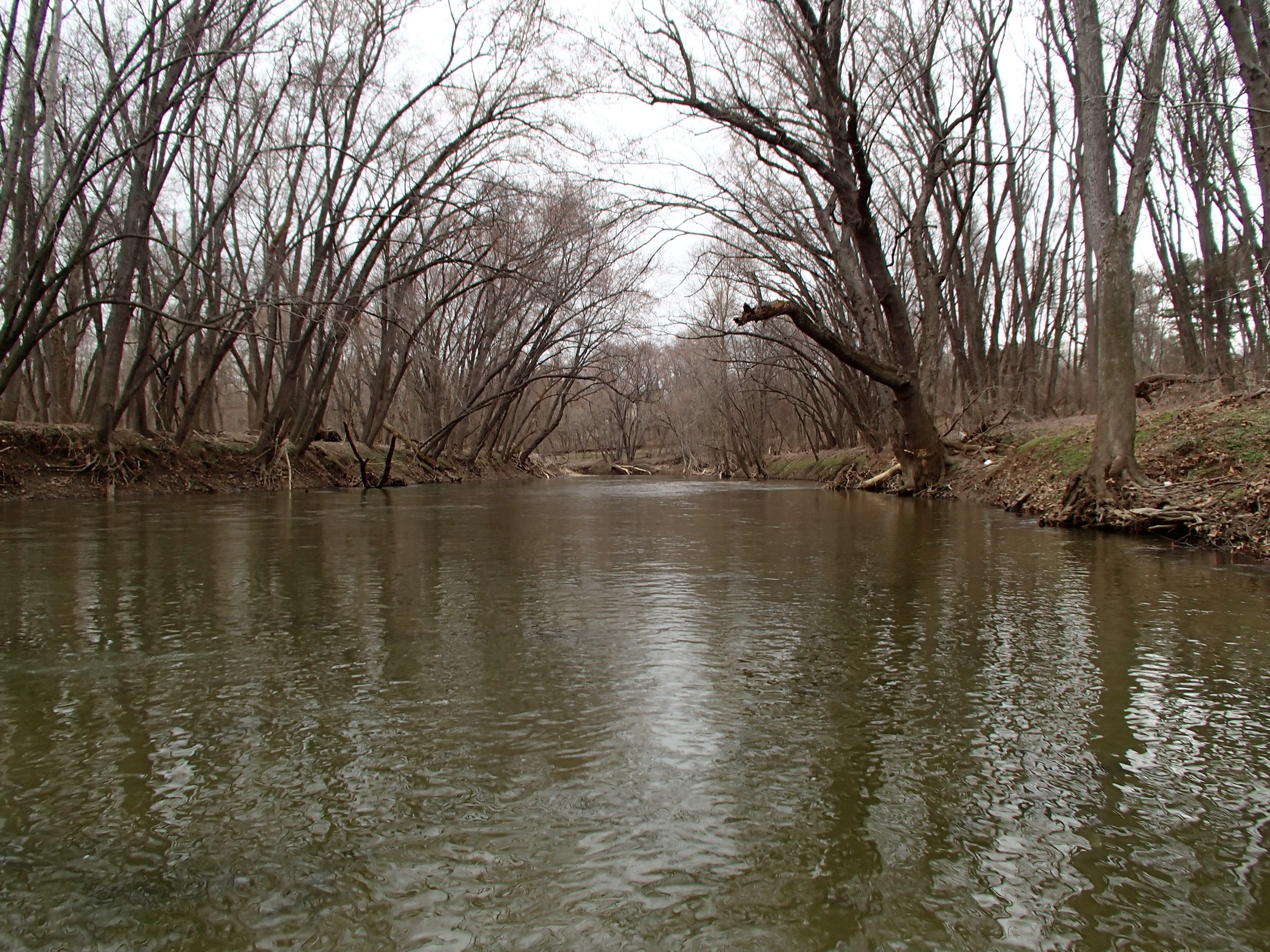 Field photo showing stream conditions at site PATL-B01-X-2015_midpoint-looking-upstream