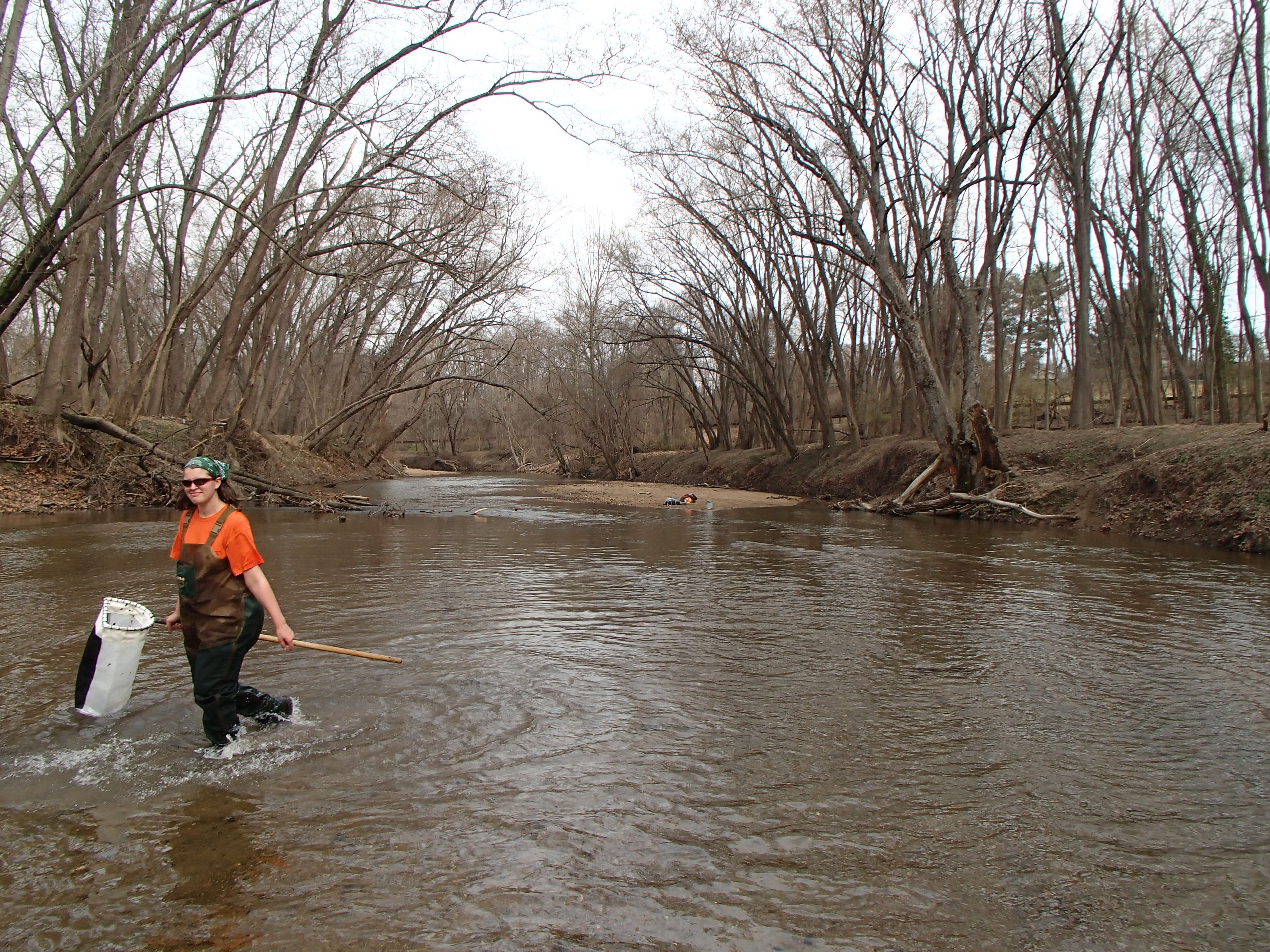 Field photo showing stream conditions at site PATL-B01-X-2017-MidpointFacingUpstream