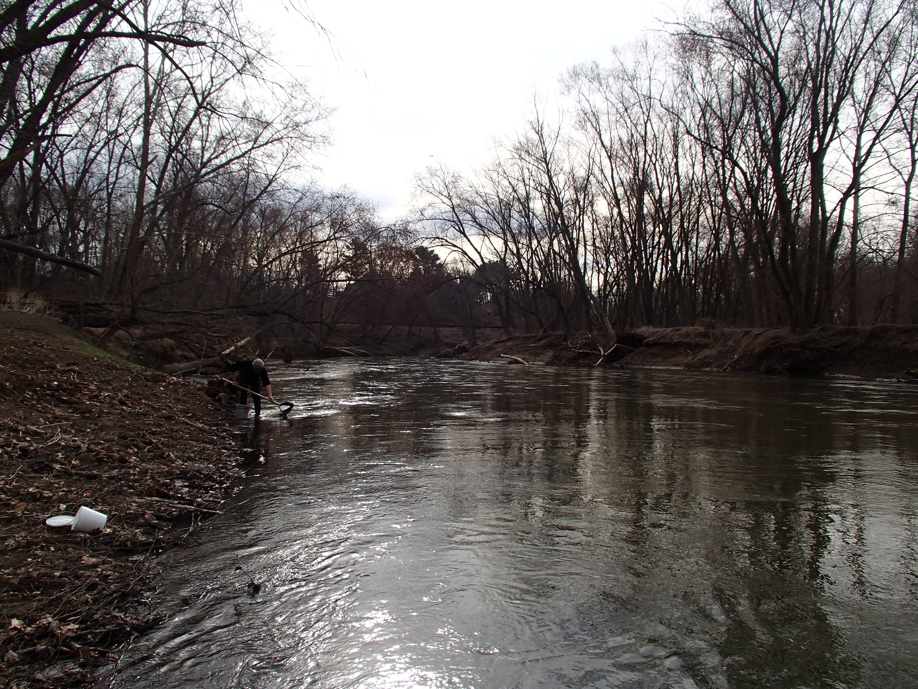 Field photo showing stream conditions at site PATL-B02-X-2015_midpoint-looking-downstream