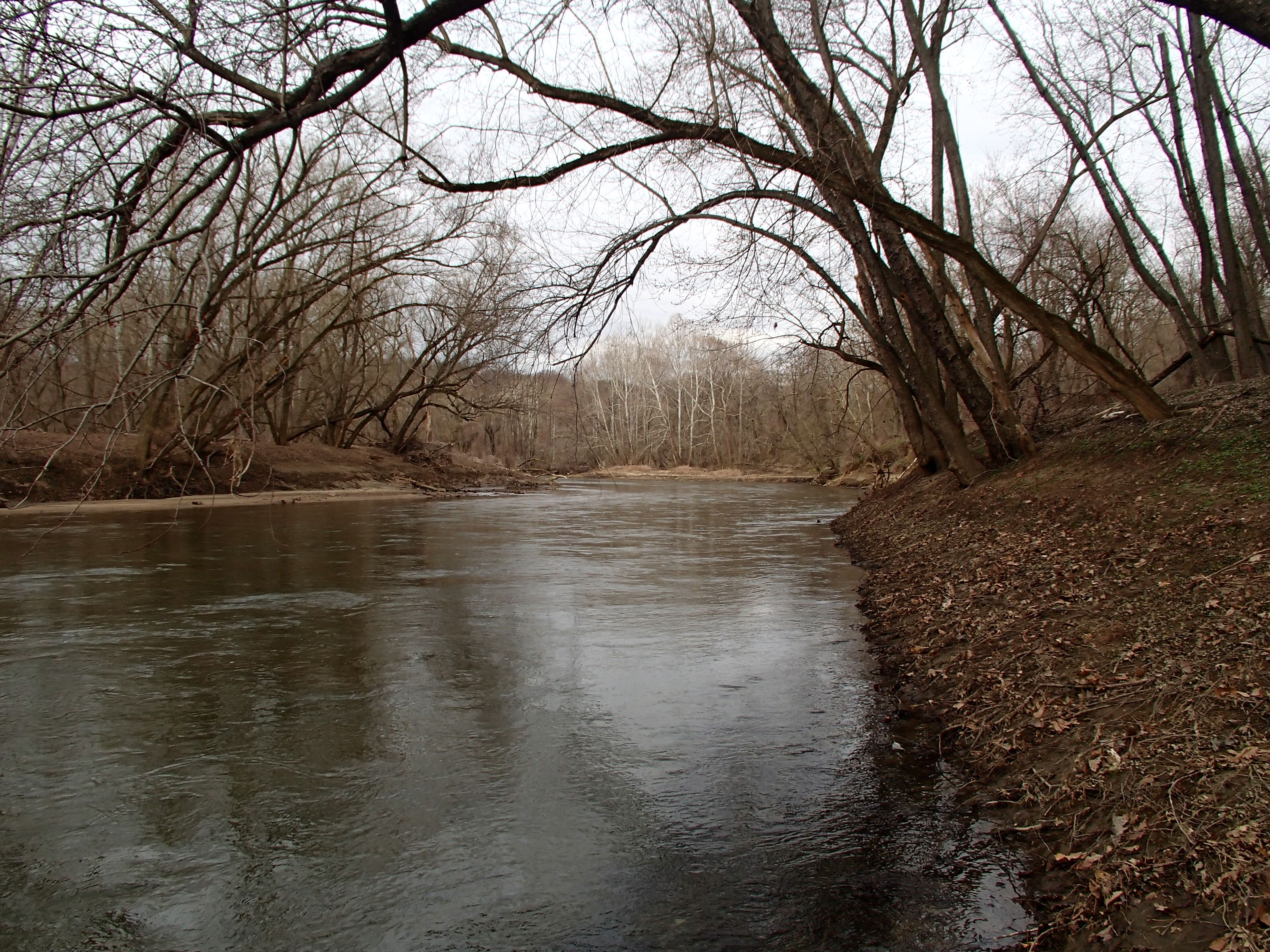 Field photo showing stream conditions at site PATL-B02-X-2015_midpoint-looking-upstream