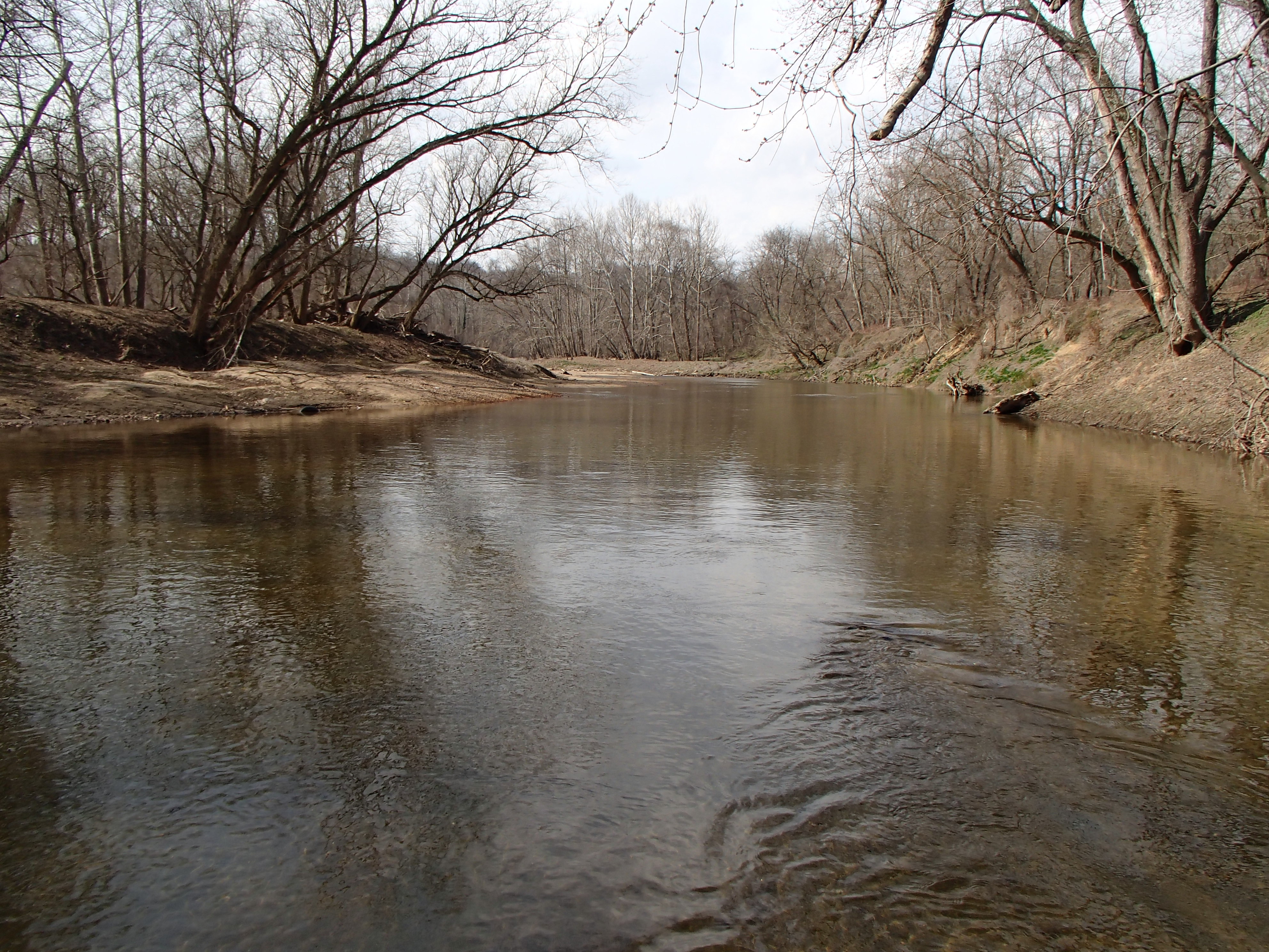 Field photo showing stream conditions at site PATL-B02-X-2017-MidpointFacingUpstream