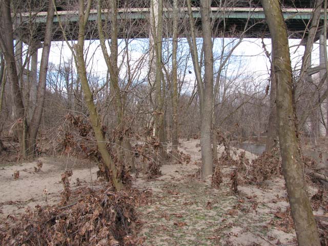 Field photo showing stream conditions at site PATL-B03-X-2013-3