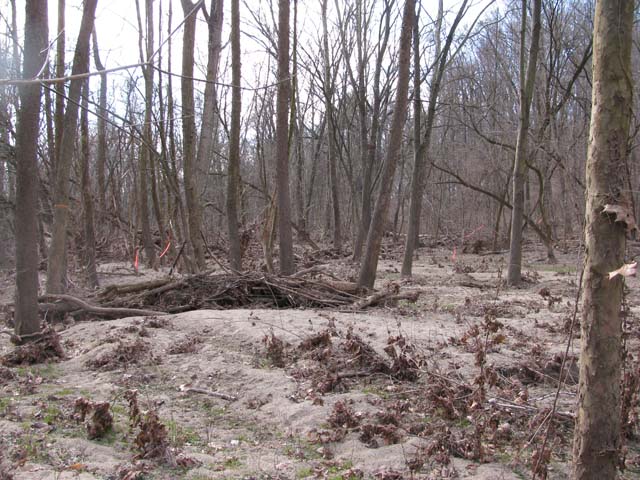 Field photo showing stream conditions at site PATL-B03-X-2013-4