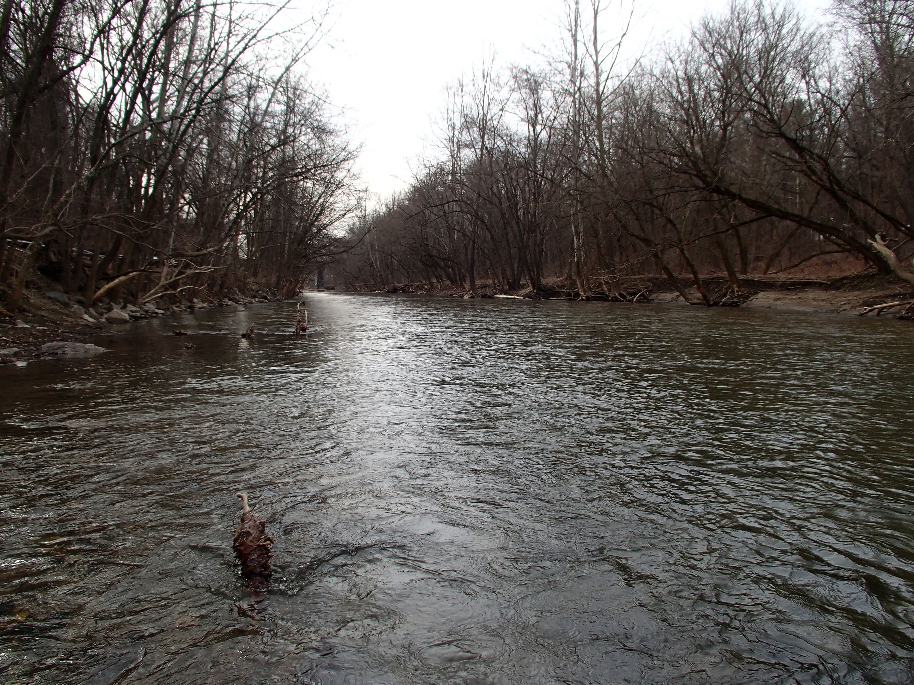 Field photo showing stream conditions at site PATL-B03-X-2015_midpoint-looking-downstream