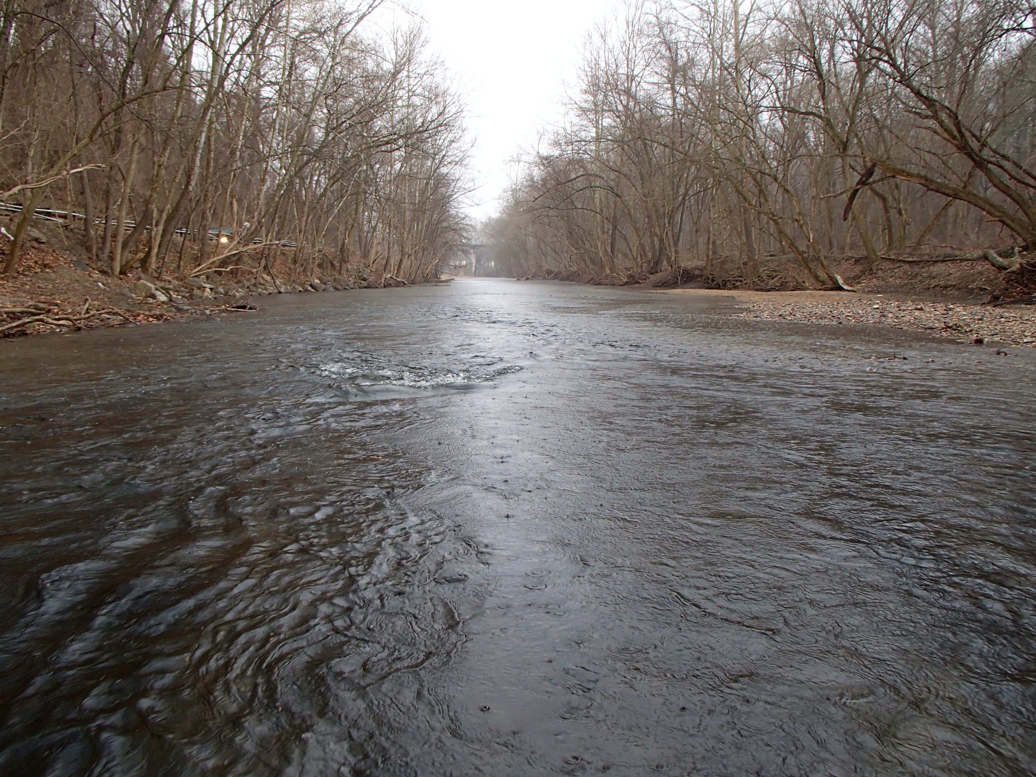 Field photo showing stream conditions at site PATL-B03-X-2017-MidpointLookingDownstream
