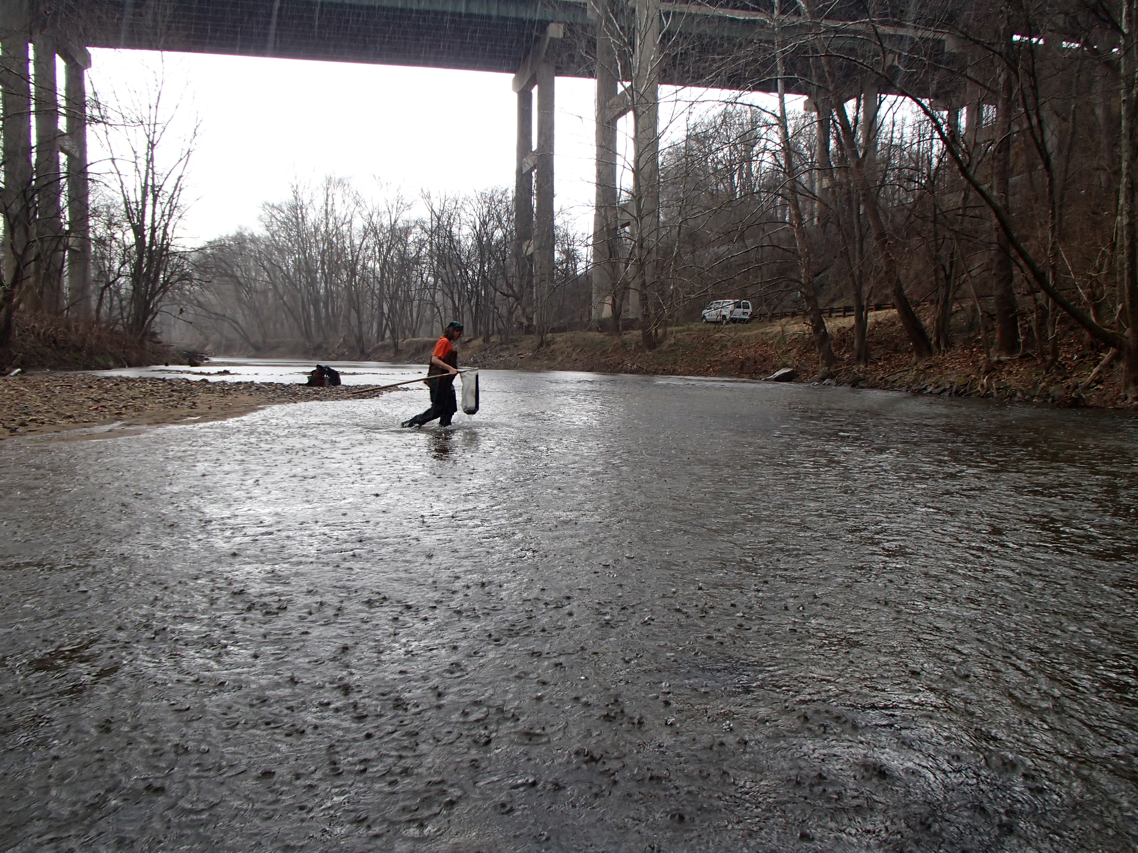 Field photo showing stream conditions at site PATL-B03-X-2017-MidpointLookingUpstream