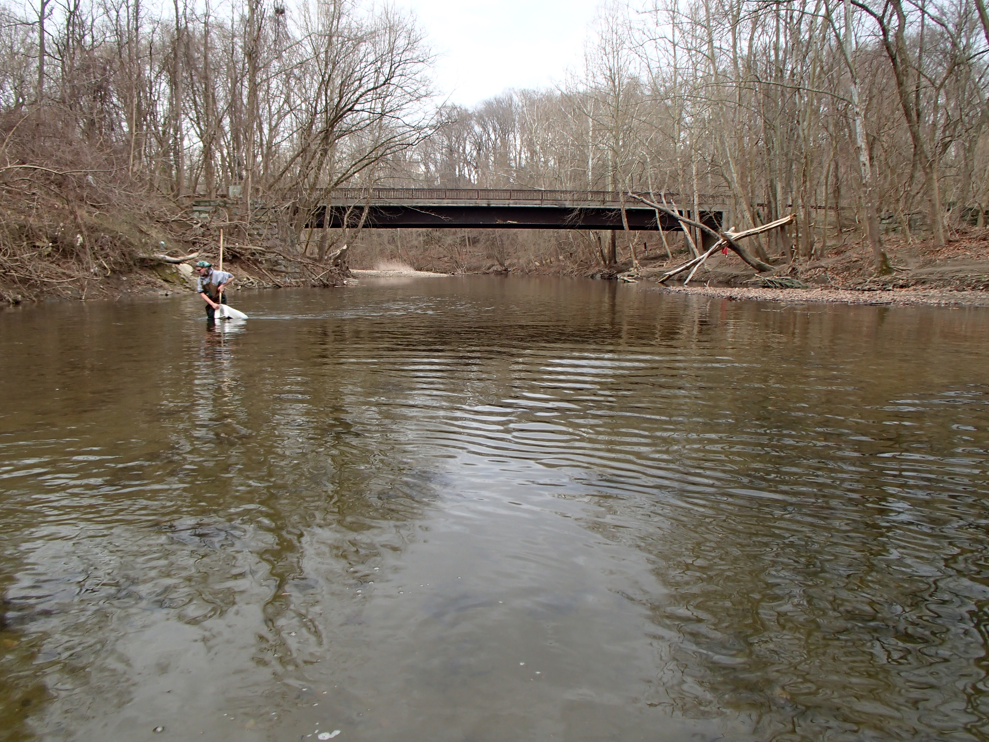 Field photo showing stream conditions at site PATL-B04-X-2017-MidpointLookingDownstream